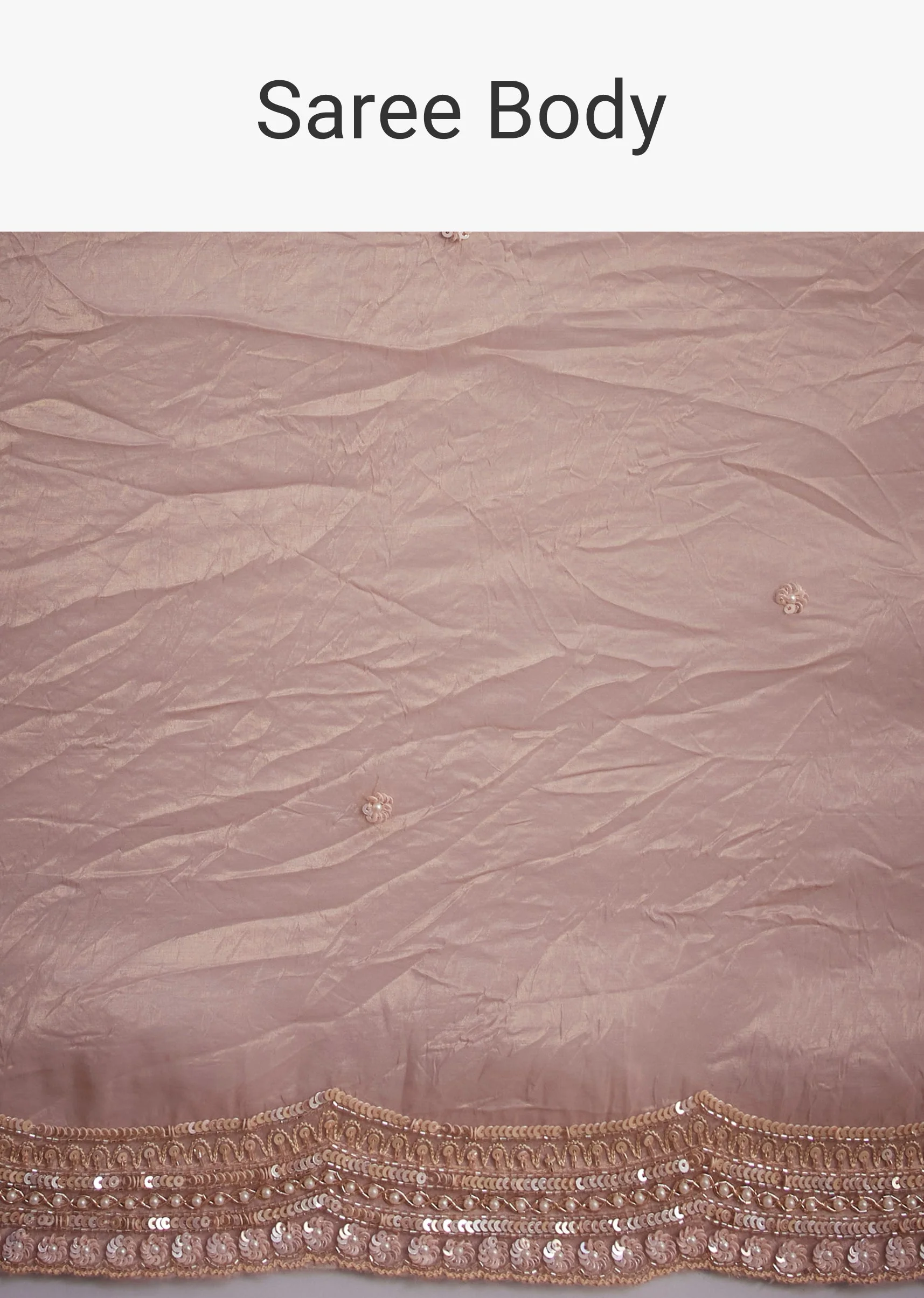 Beige Crushed Tissue Saree With Embroidered Border - Image 9