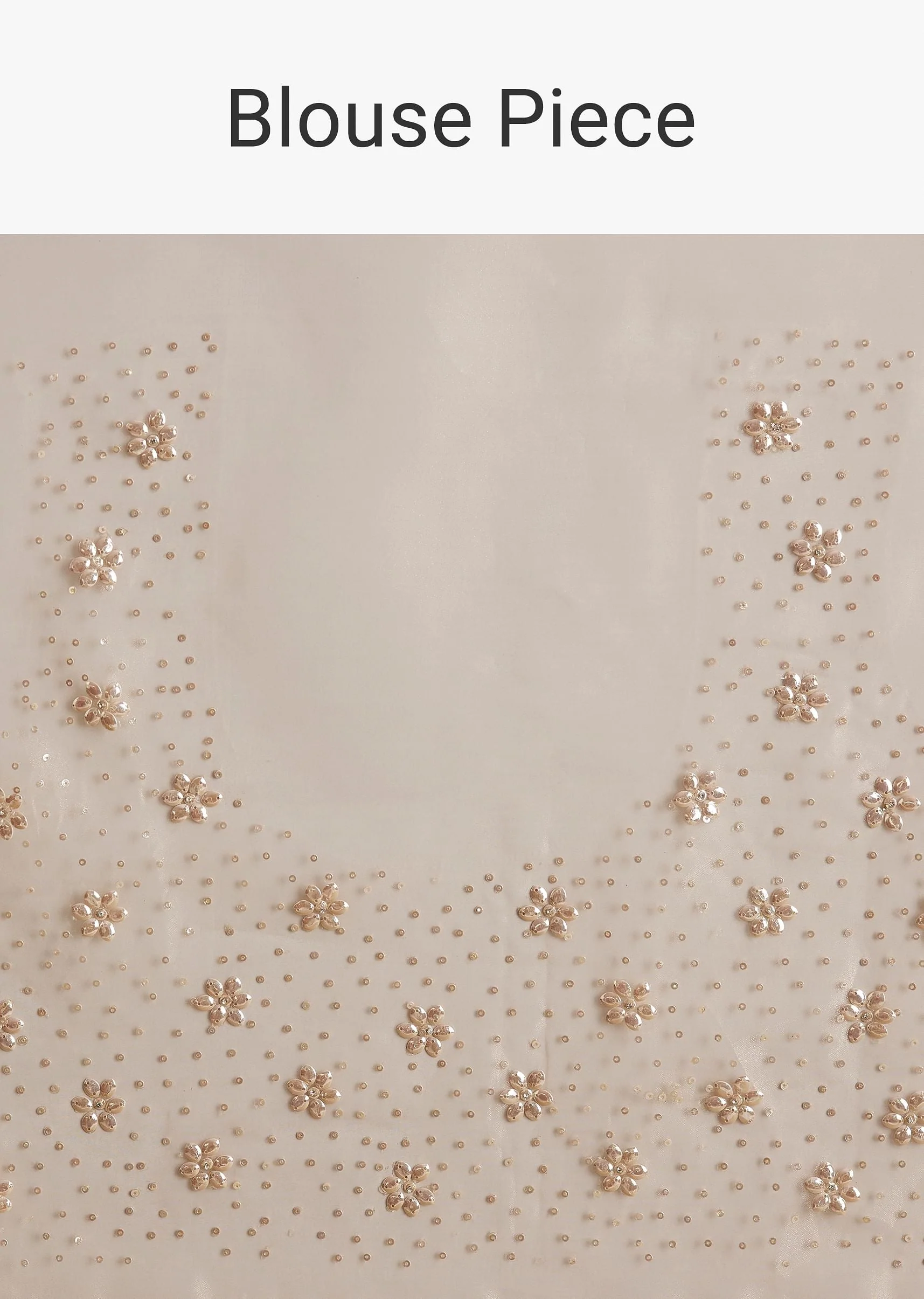 Beige Glass Tissue Embroidered Saree With Scallop Border - Image 10