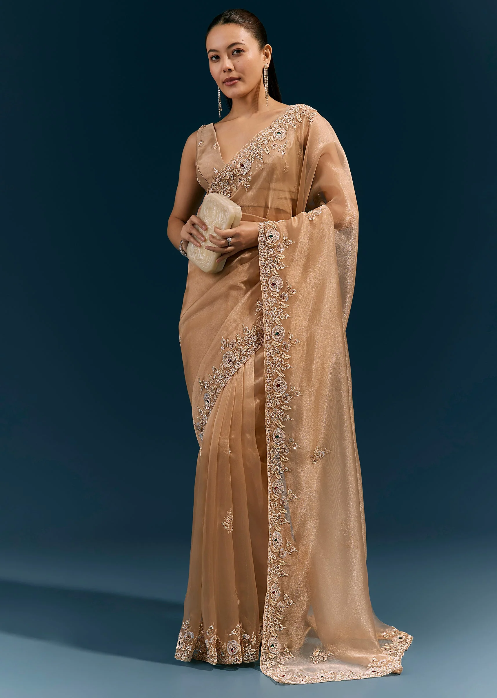 Beige Glossy Tissue Saree With Heavy Floral Embroidered Border And Stone Highlights