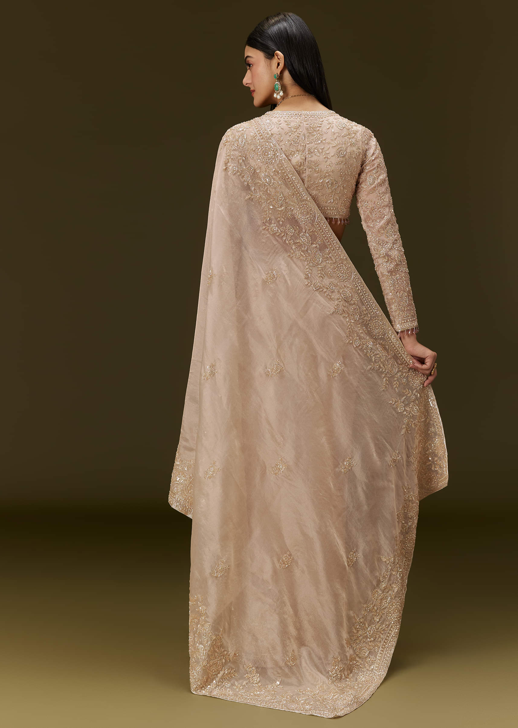 Beige Ivory Tissue Saree With Velvet Embroidered Blouse - Image 6