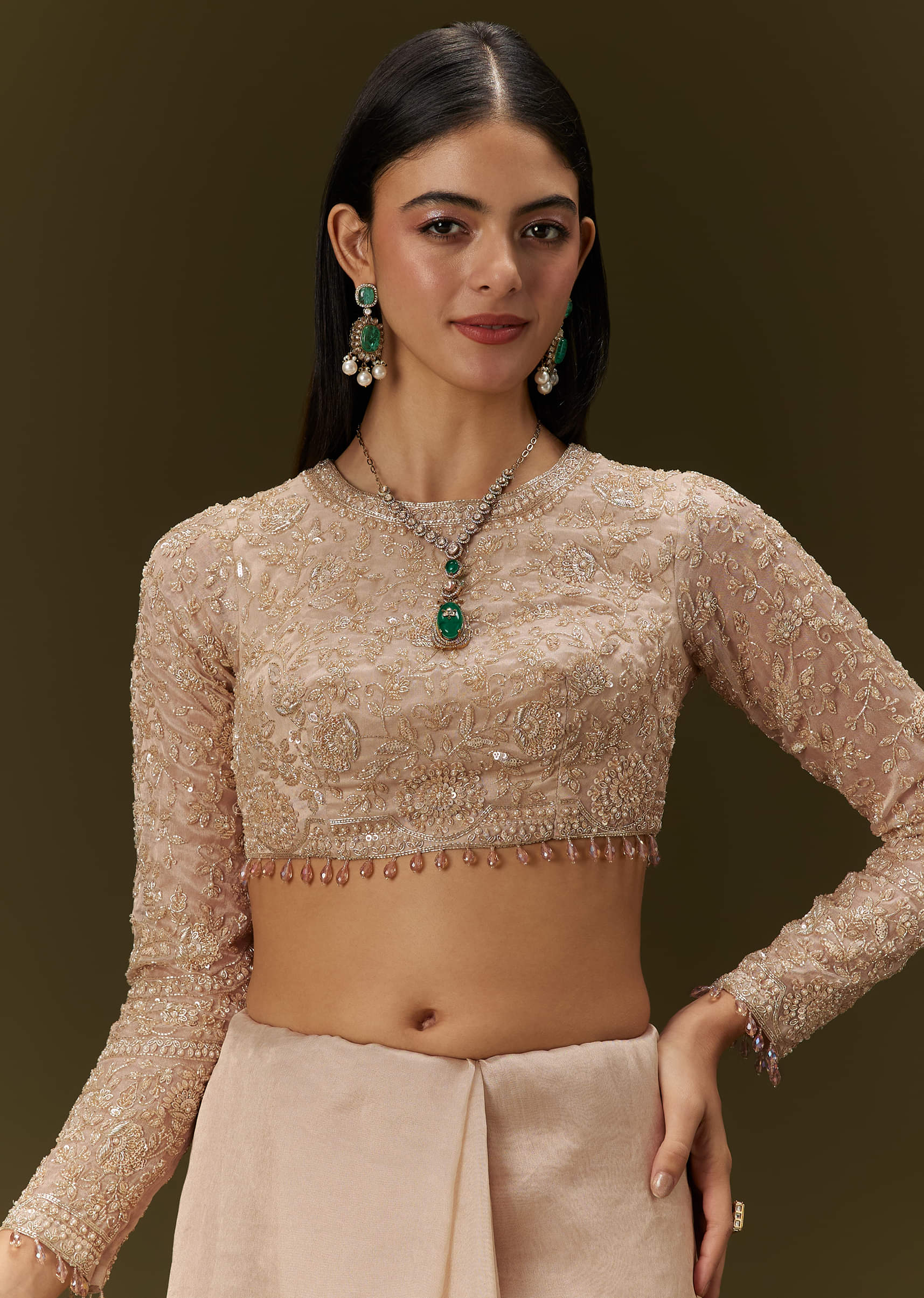 Beige Ivory Tissue Saree With Velvet Embroidered Blouse - Image 7
