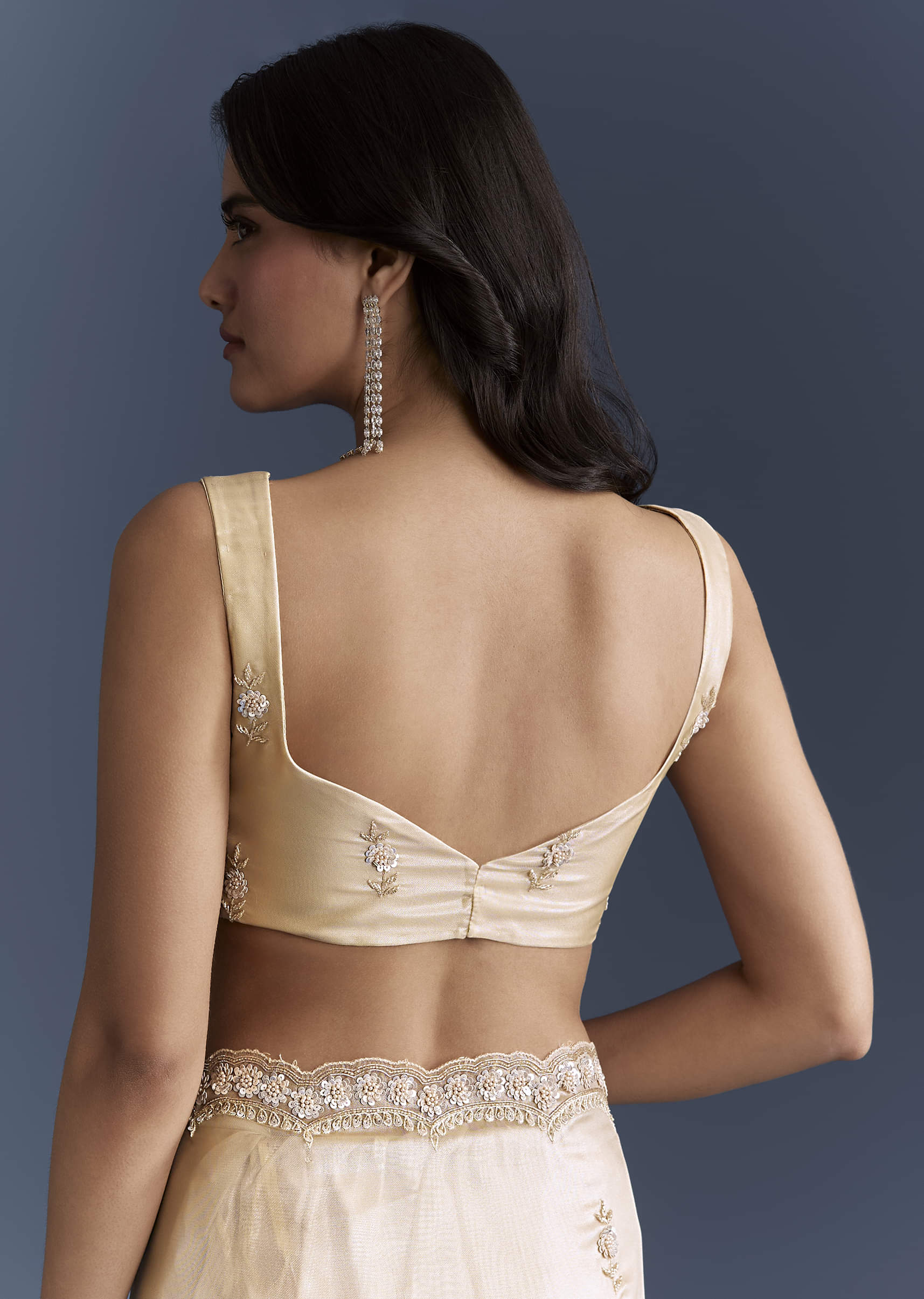 Beige Net Saree With Heavy Hand Embroidery - Image 8