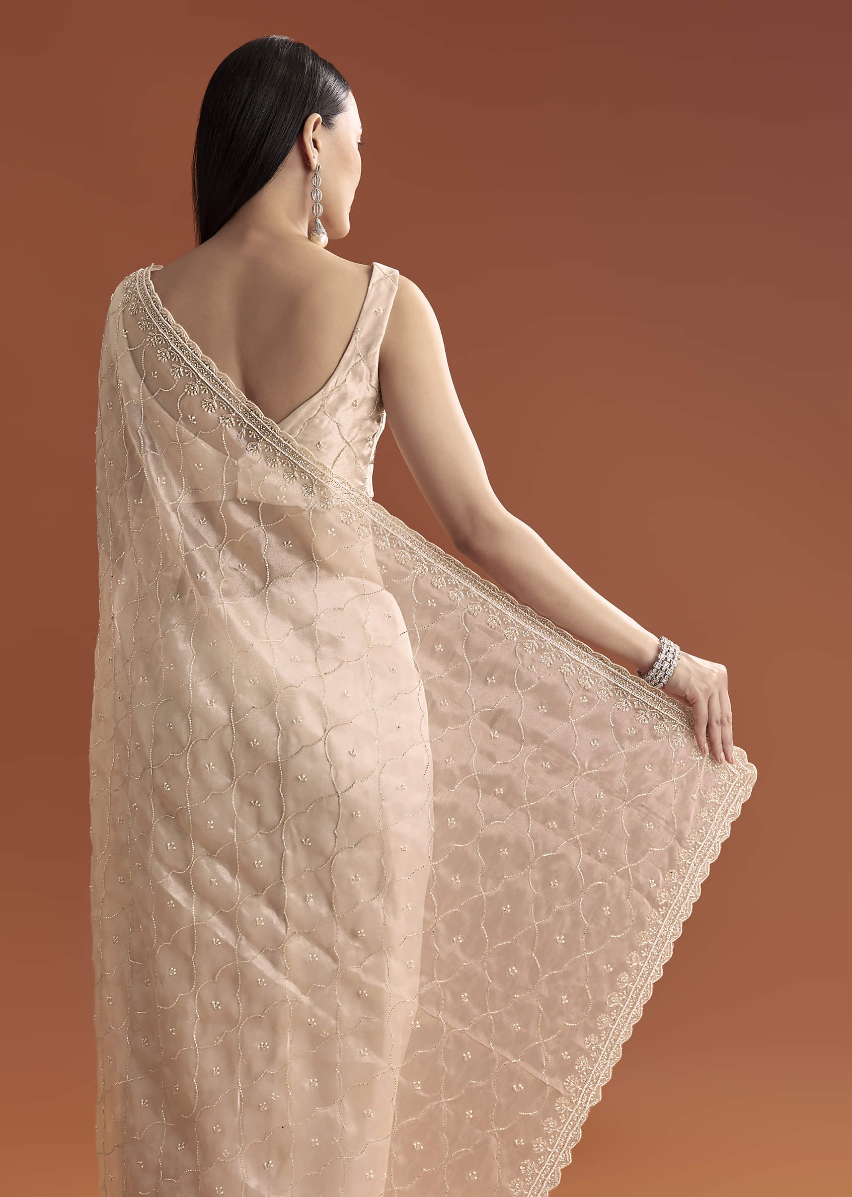 Beige Organza Embroidered Saree With Jaal And Butti Work - Image 6
