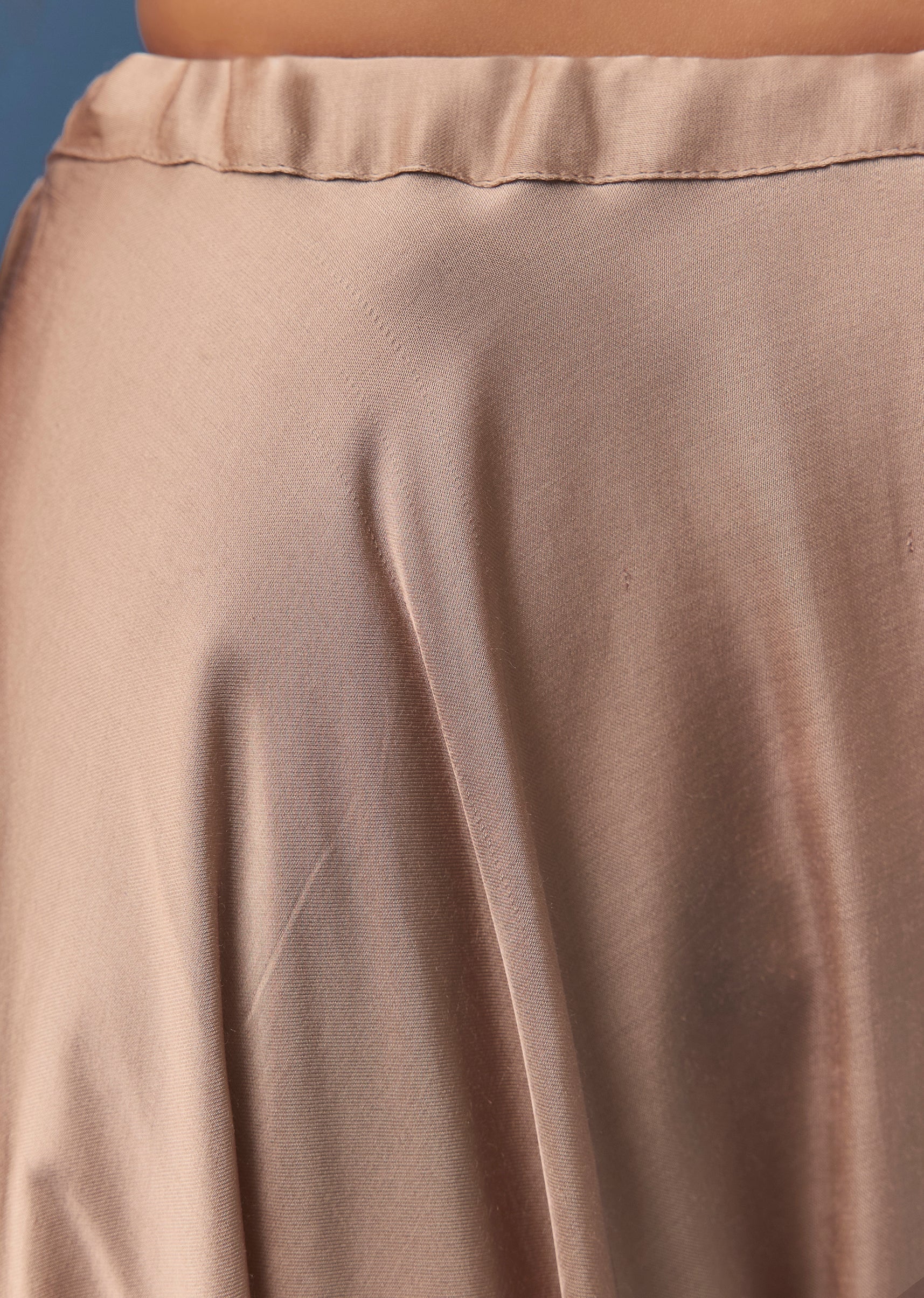 Beige Organza Indowestern Cape and Palazzo Set - Image 6
