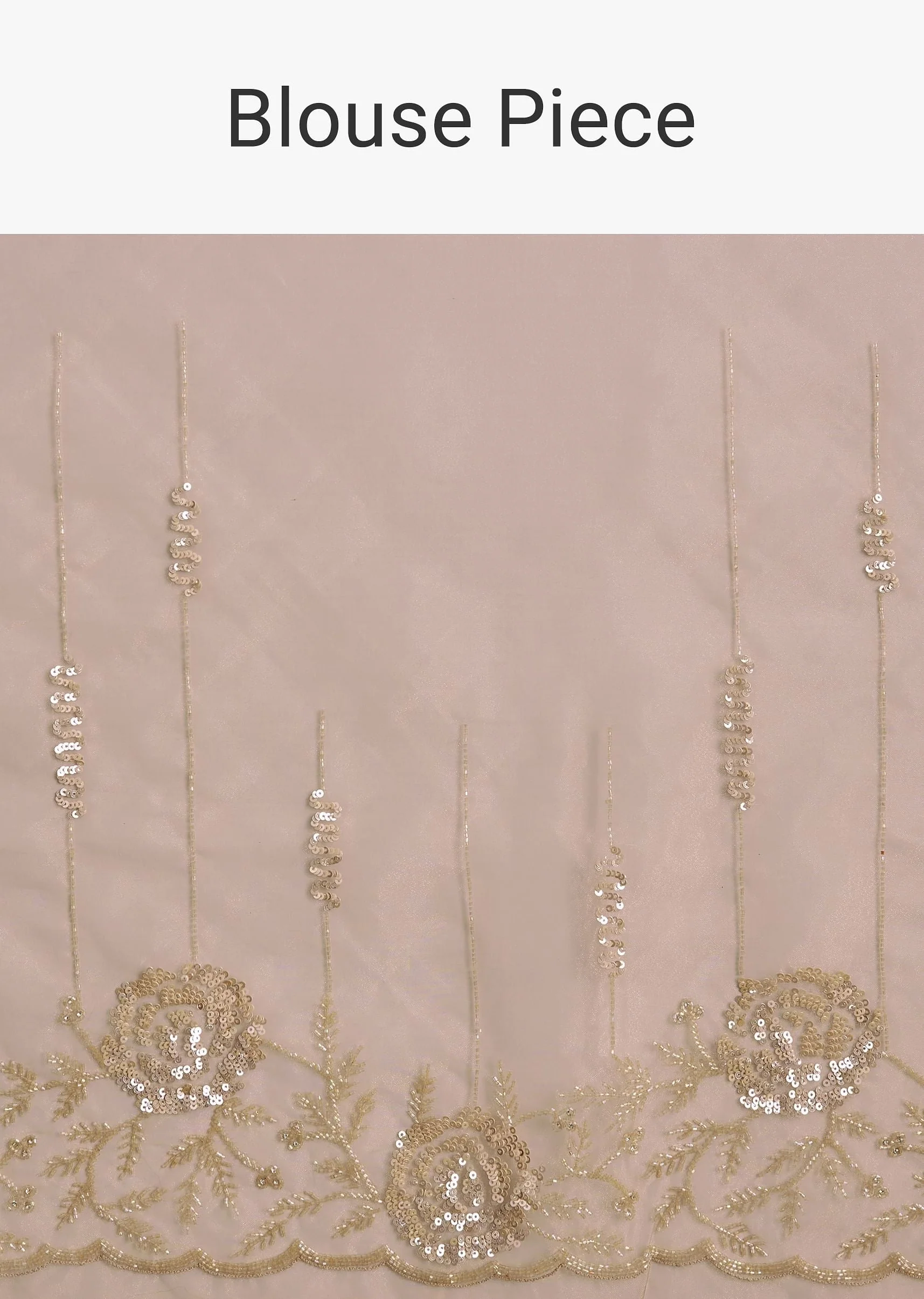 Beige Tissue Saree With Floral Embroidery And Scallop Border - Image 10