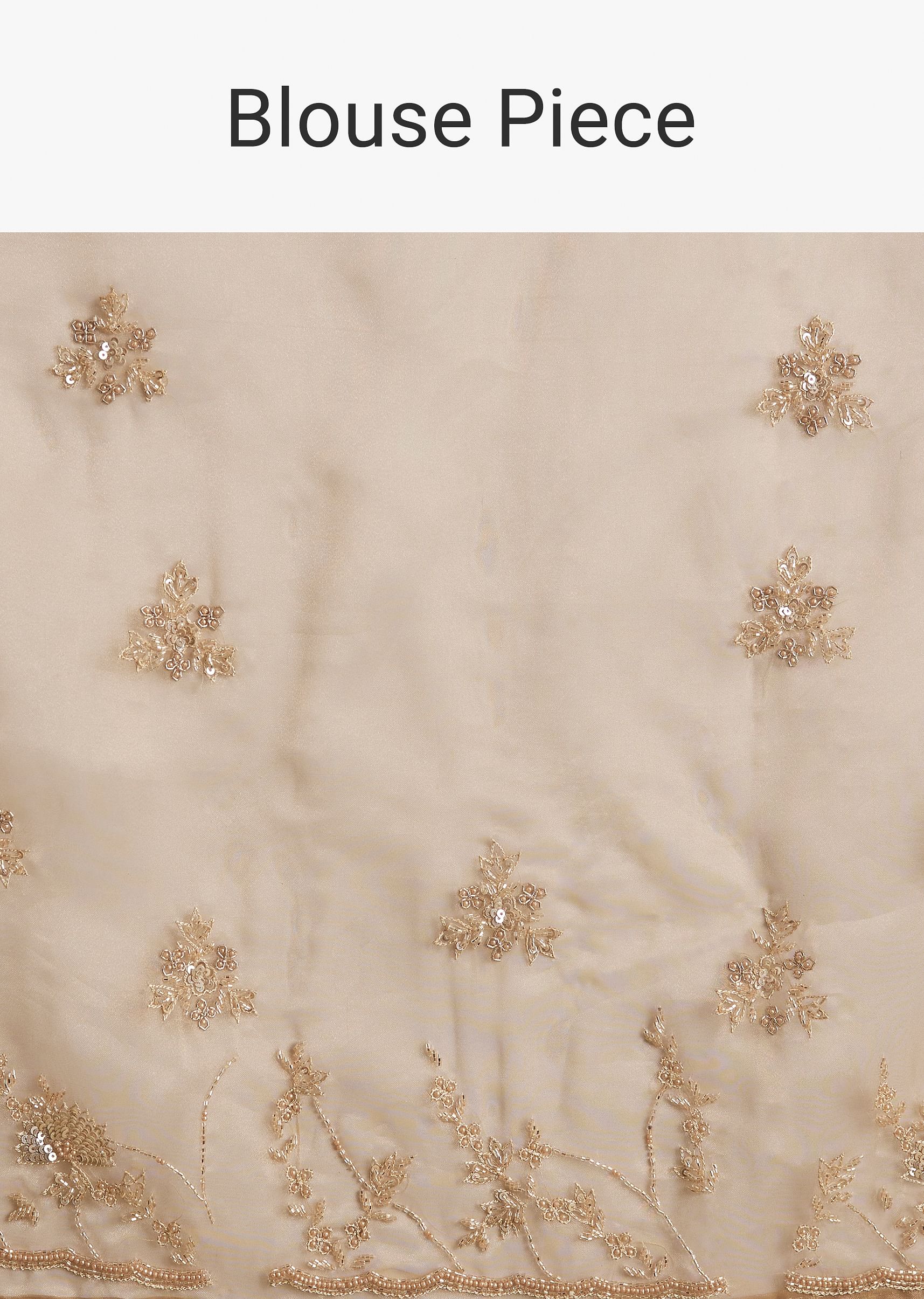 Beige Tissue Saree With Heavy Cutdana And Beads Embroidery - Image 10