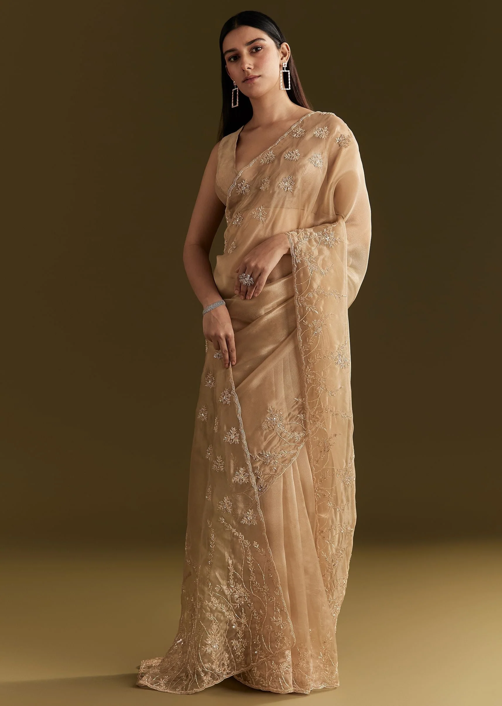 Beige Tissue Saree With Heavy Cutdana And Beads Embroidery - Image 3