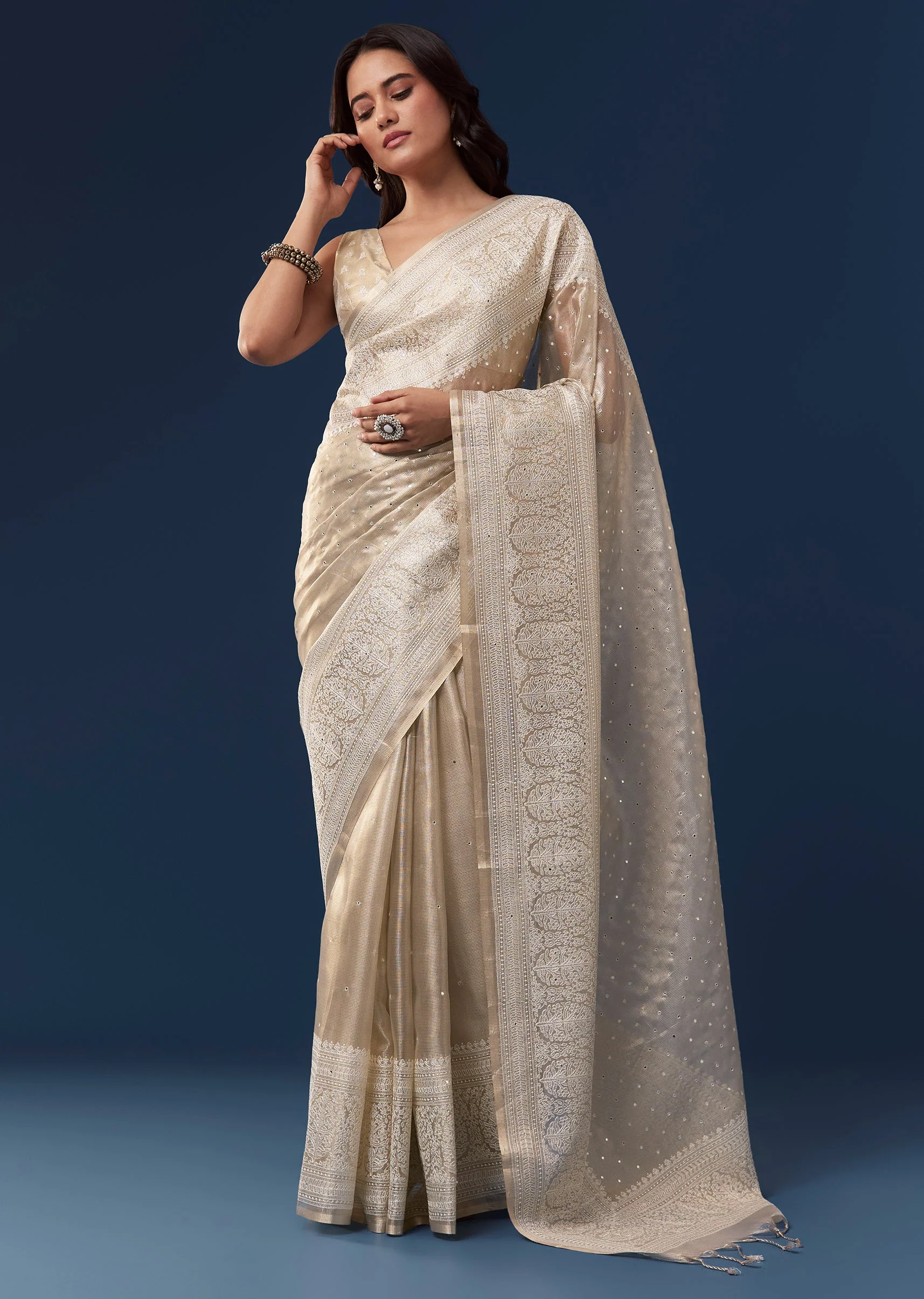 Beige Tissue Saree With Resham Thread Border And Mirror Work - Image 3