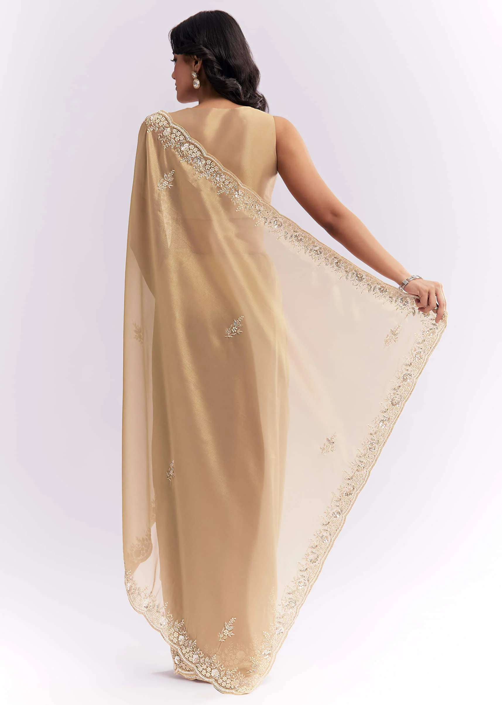 Beige Tissue Silk Saree With Heavy Hand Embroidery - Image 4