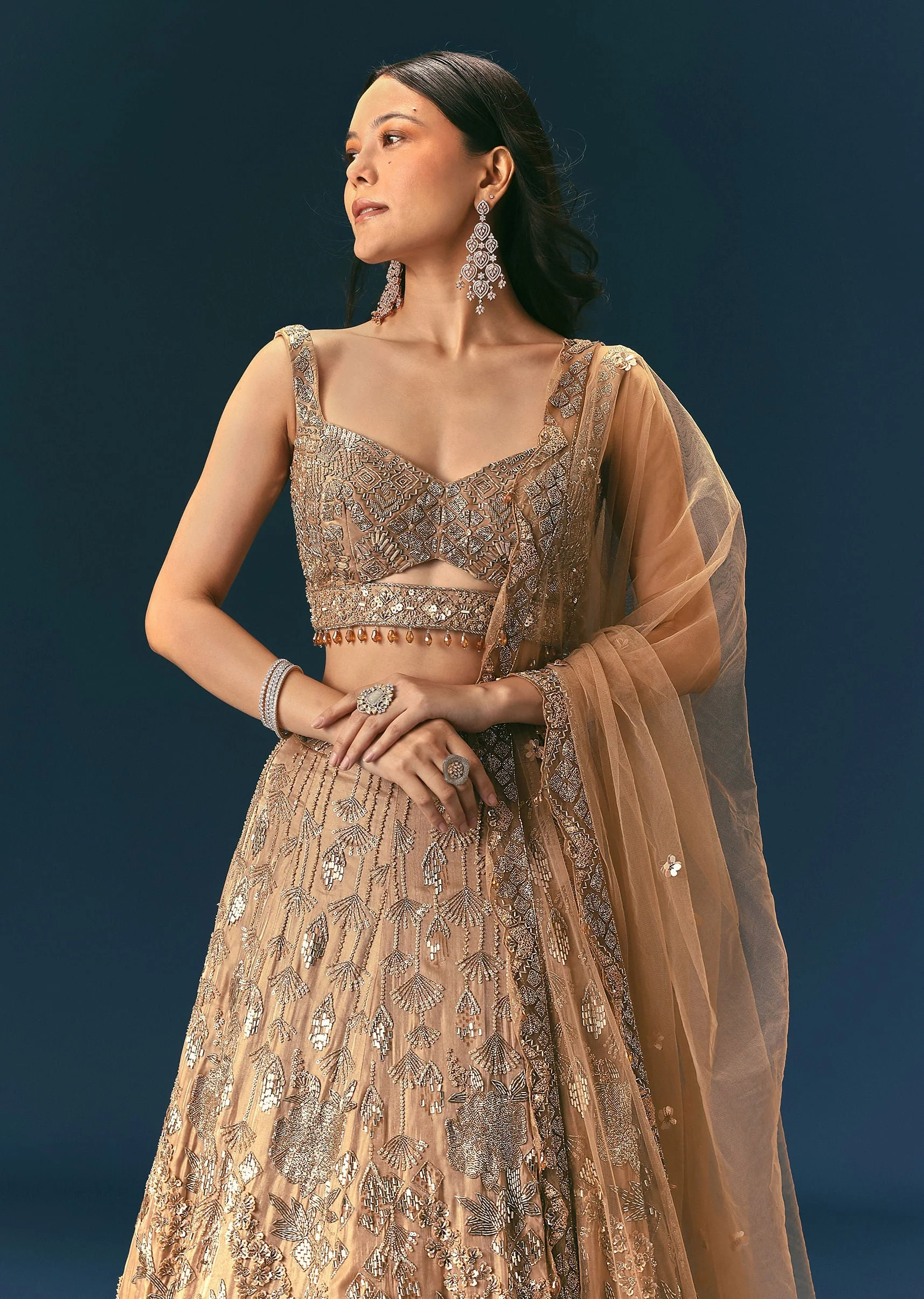 Bronze Organza Lehenga Set With Hand Work - Image 2