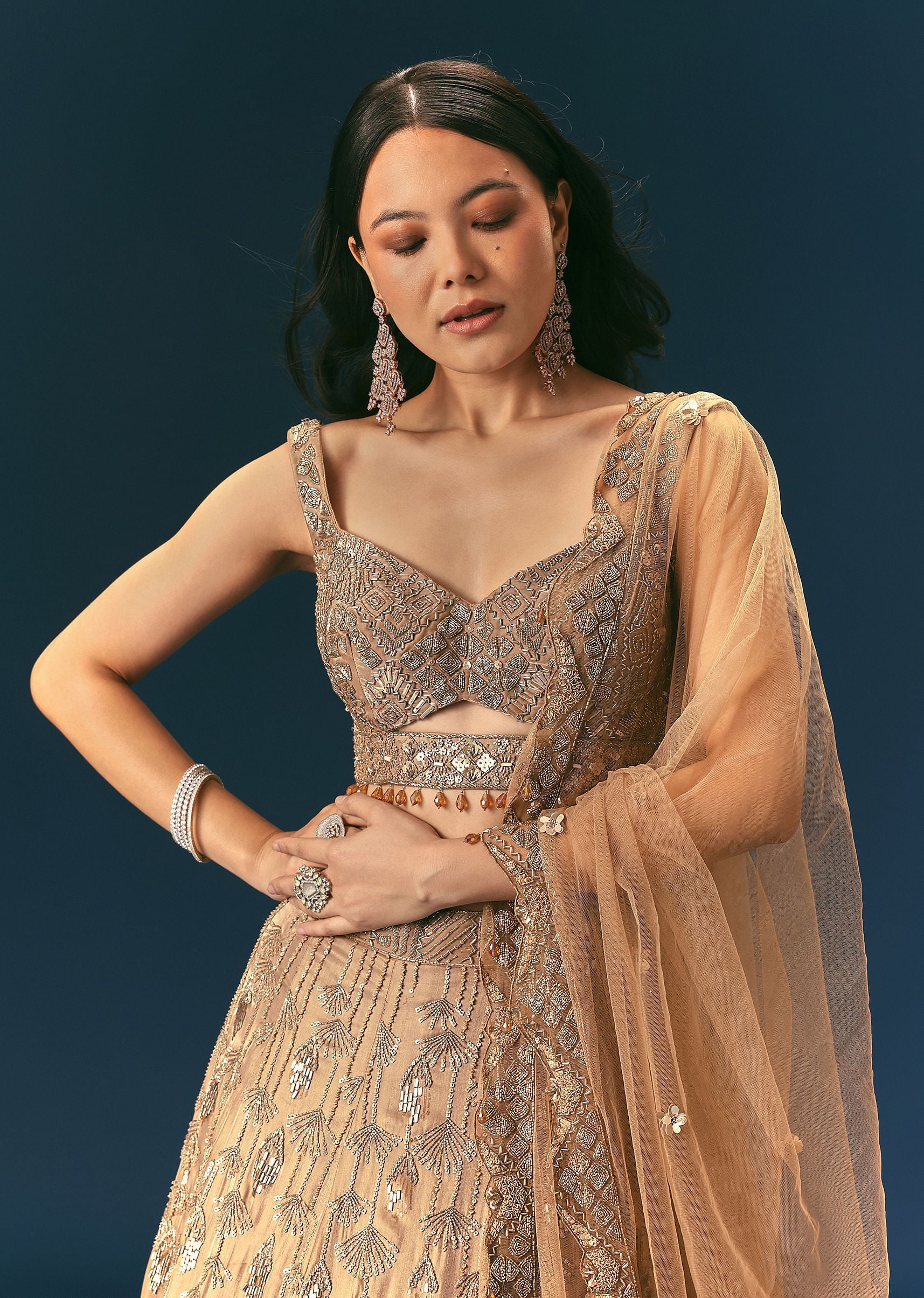 Bronze Organza Lehenga Set With Hand Work - Image 4