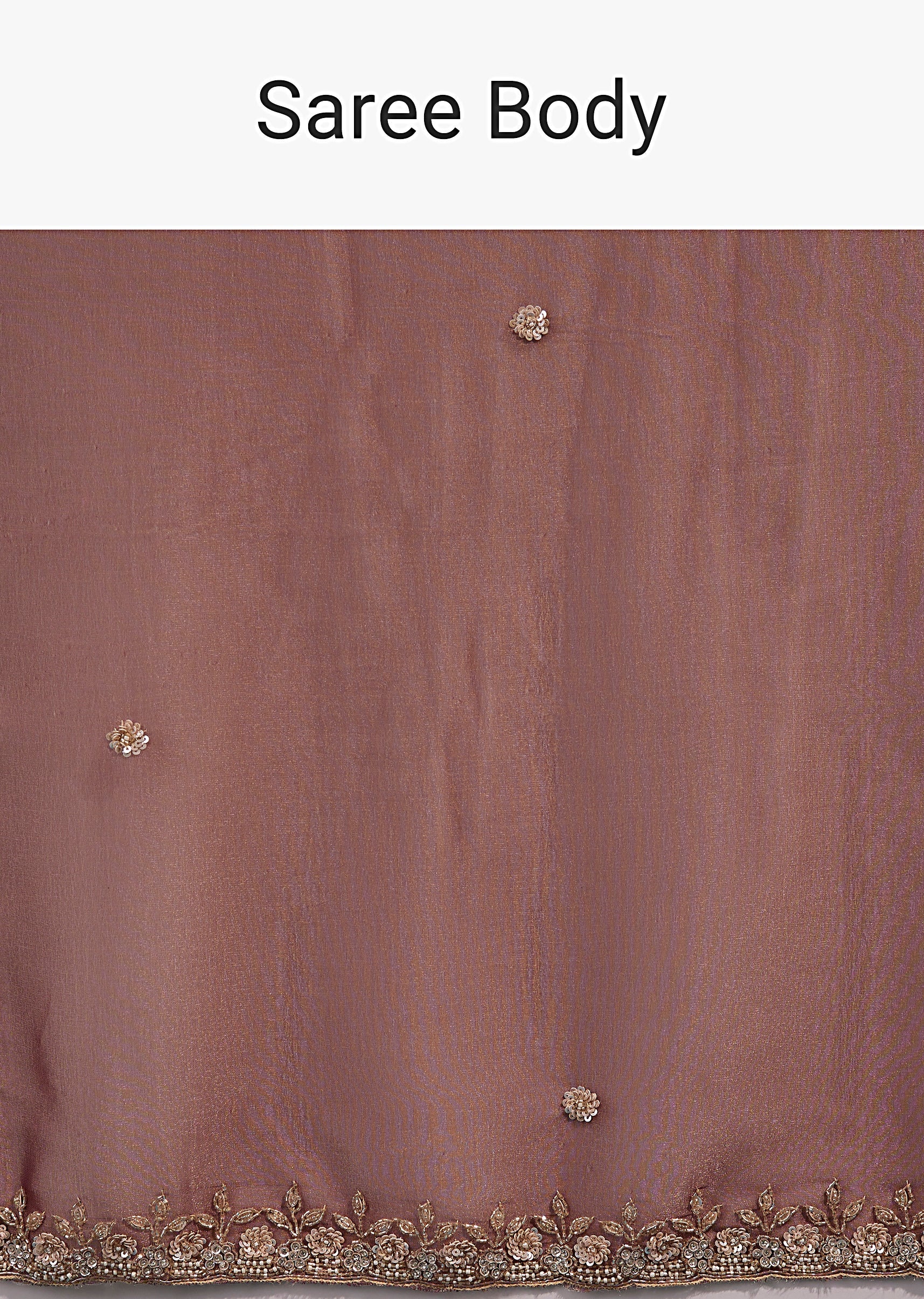 Brown Tissue Saree With Floral Embroidered Border And Delicate Butti Work - Image 9