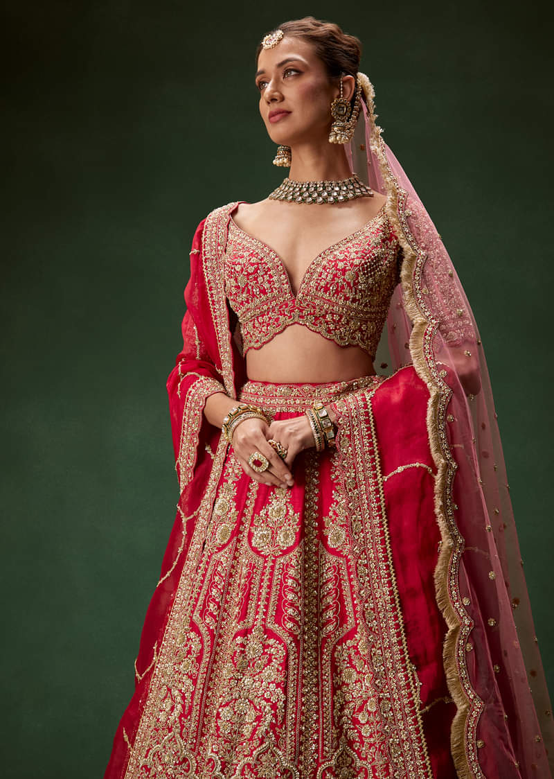 Classic Red Bridal Lehenga With All Over Zari And Dori Embroidery - Image 5