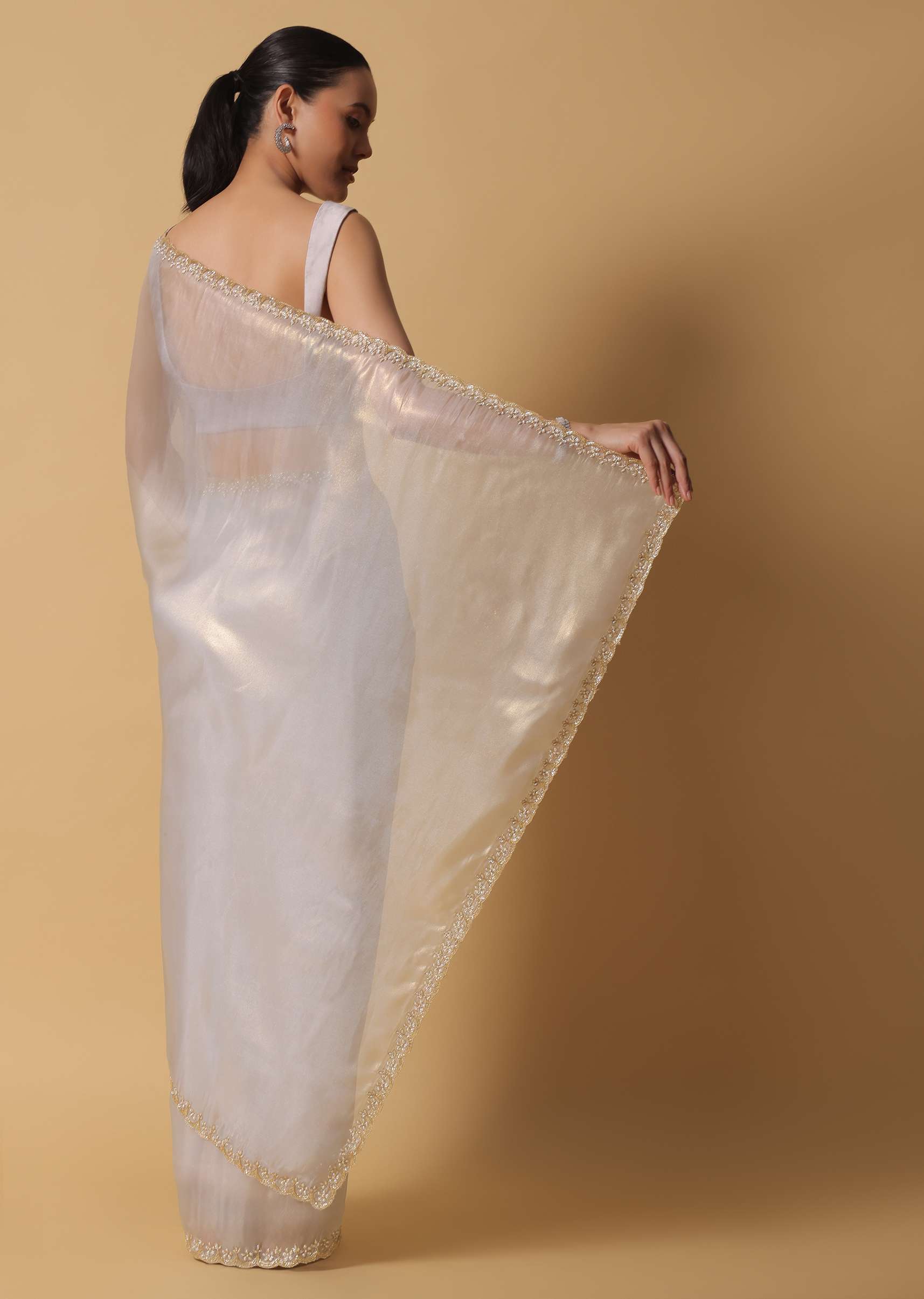 Cloud Grey Foil Saree In Tissue With Cut Dana Embroidered Borders - Image 4