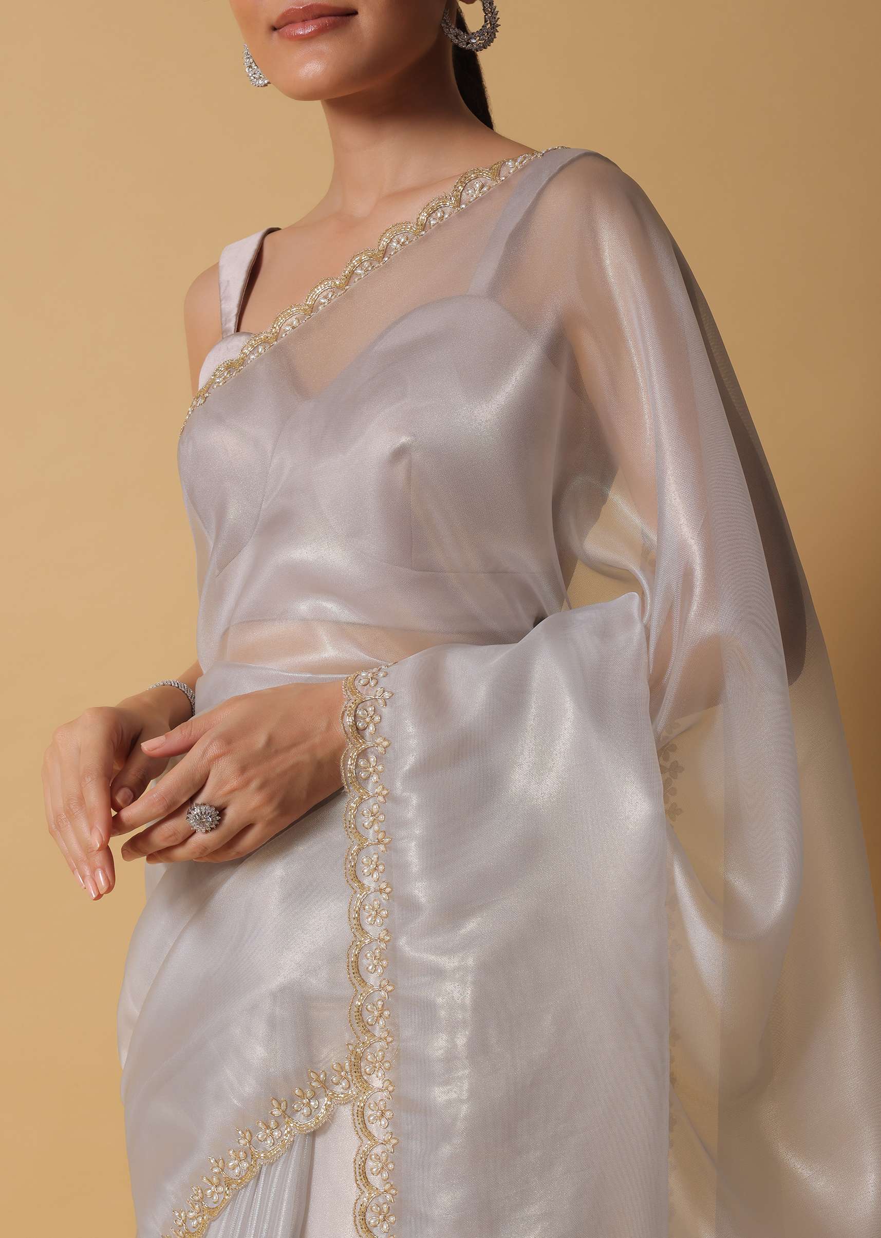 Cloud Grey Foil Saree In Tissue With Cut Dana Embroidered Borders - Image 5