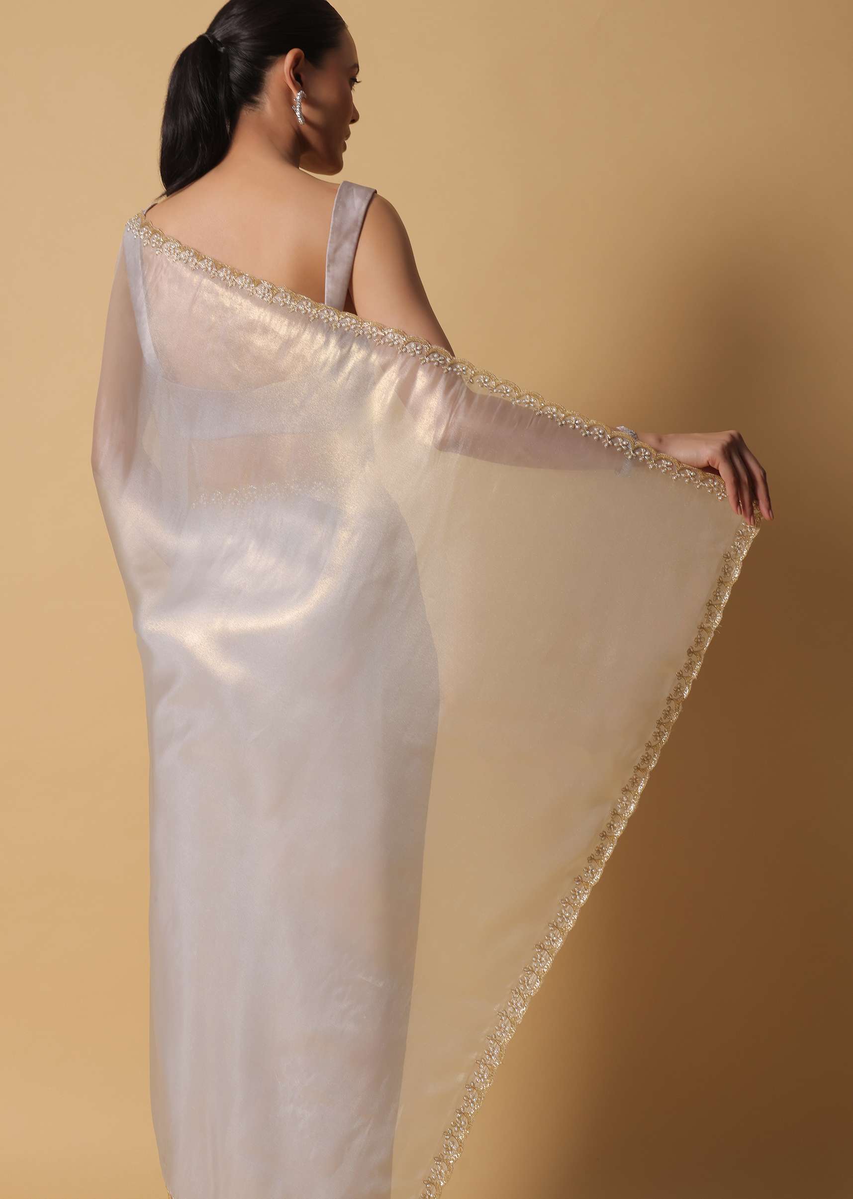 Cloud Grey Foil Saree In Tissue With Cut Dana Embroidered Borders - Image 6
