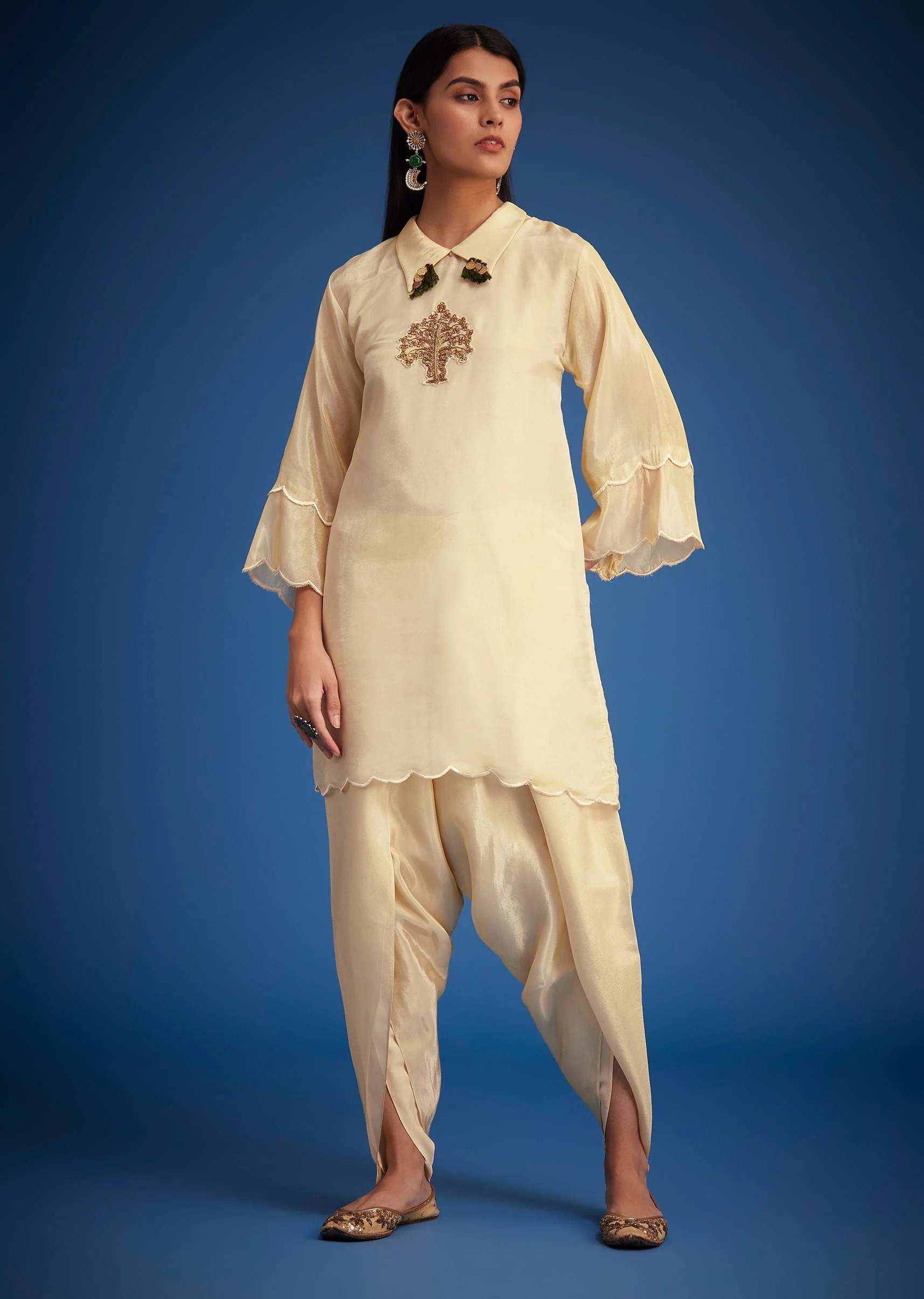 Cream Tissue Embroidered Dhoti Set - Image 6
