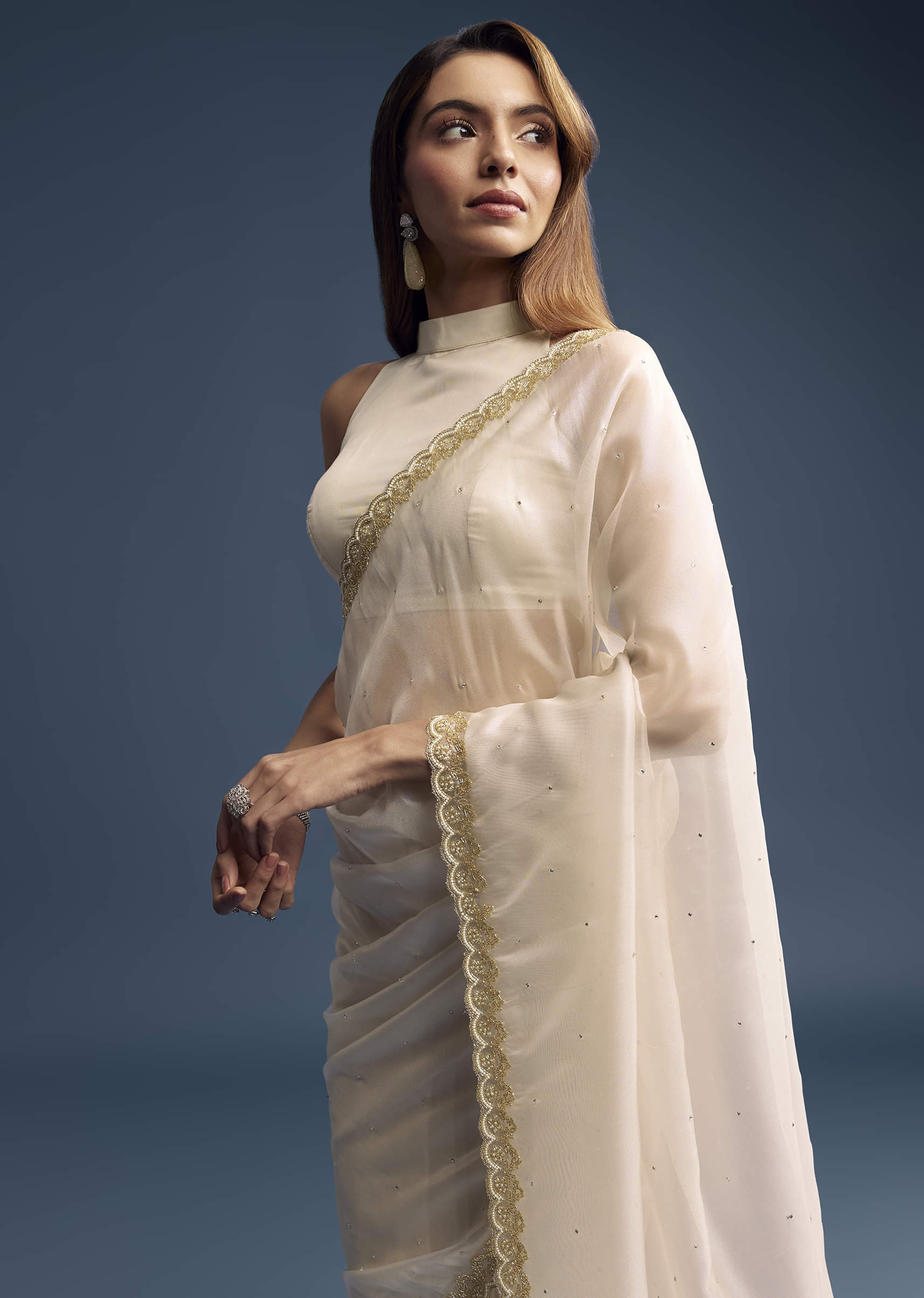 Cream Tissue Saree With Stone And Beaded Embroidery - Image 4