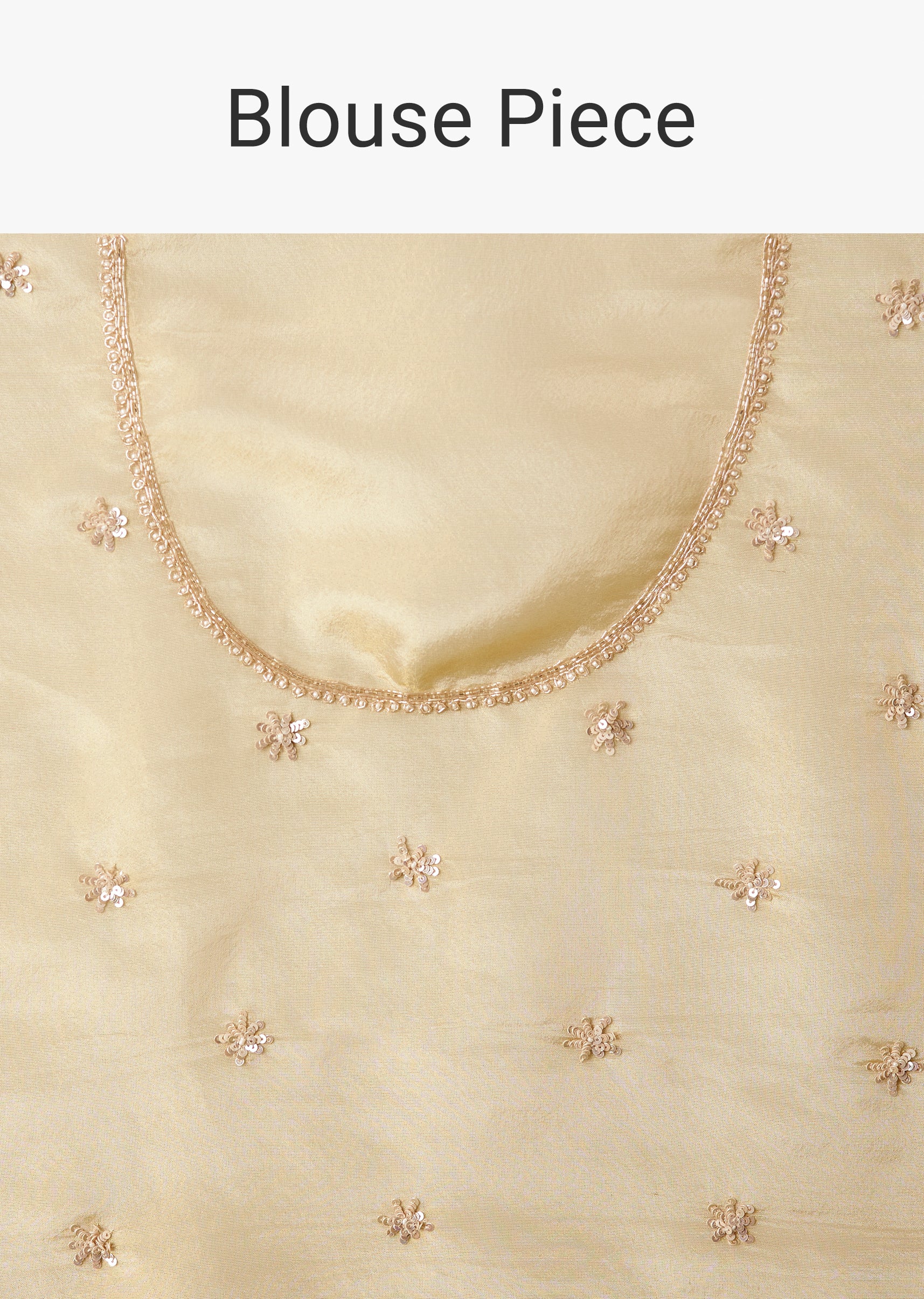 Cream Tissue Saree With Zardosi And Bead Embroidery - Image 9