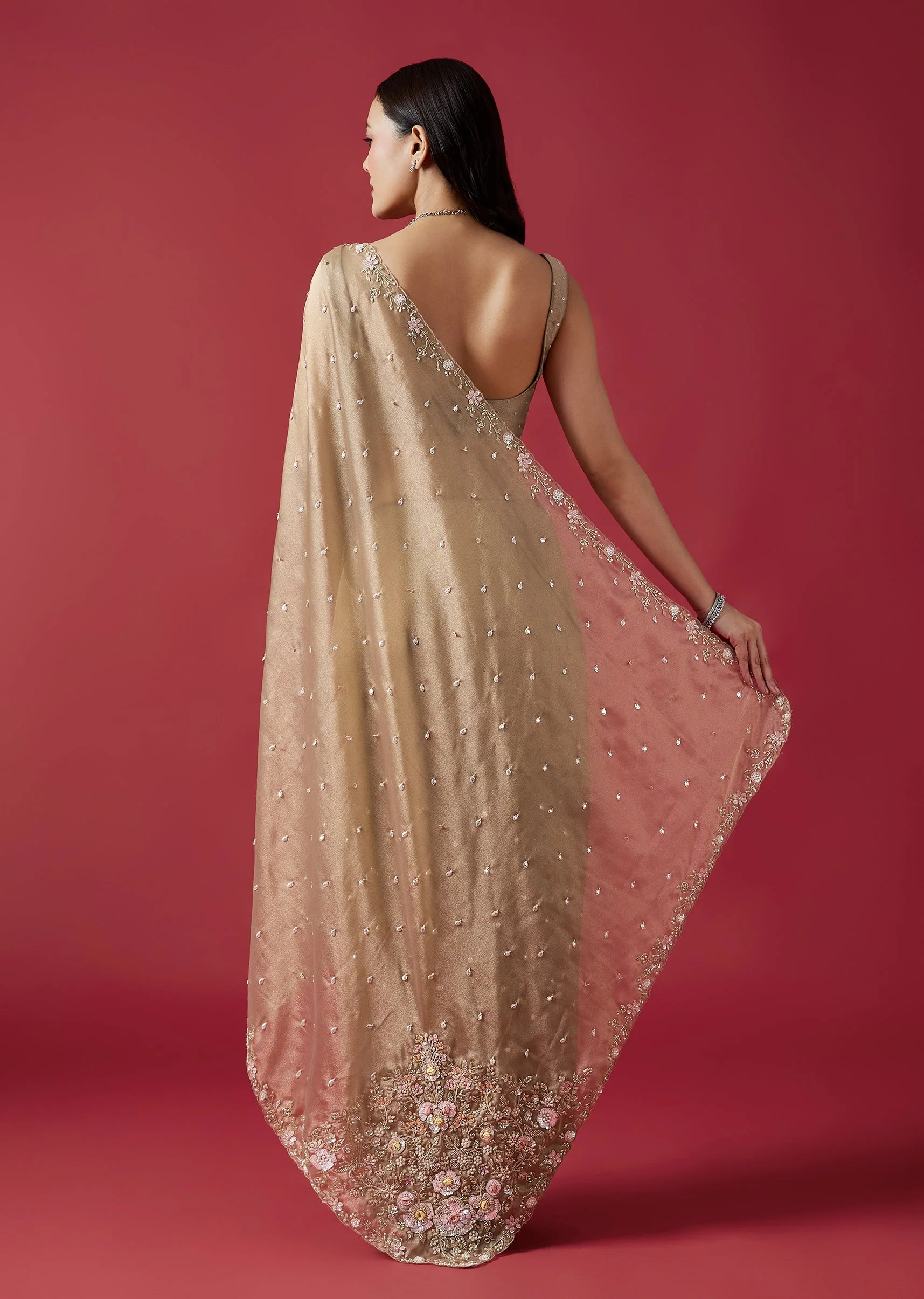 Dusky Beige Embroidered Tissue Saree With Cutwork Border - Image 4