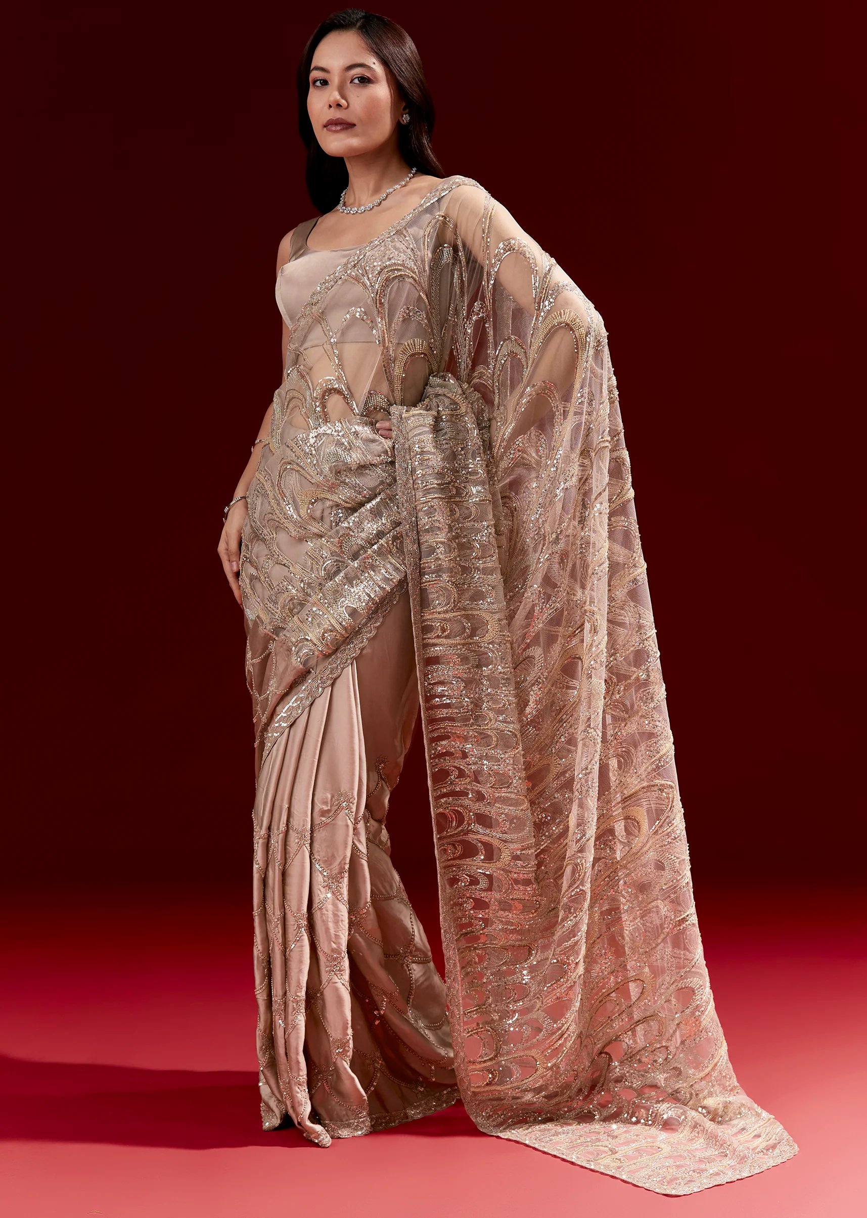 Dusky Beige Half And Half Saree With Heavy Embroidered Pallu And Jaal Detailing - Image 3