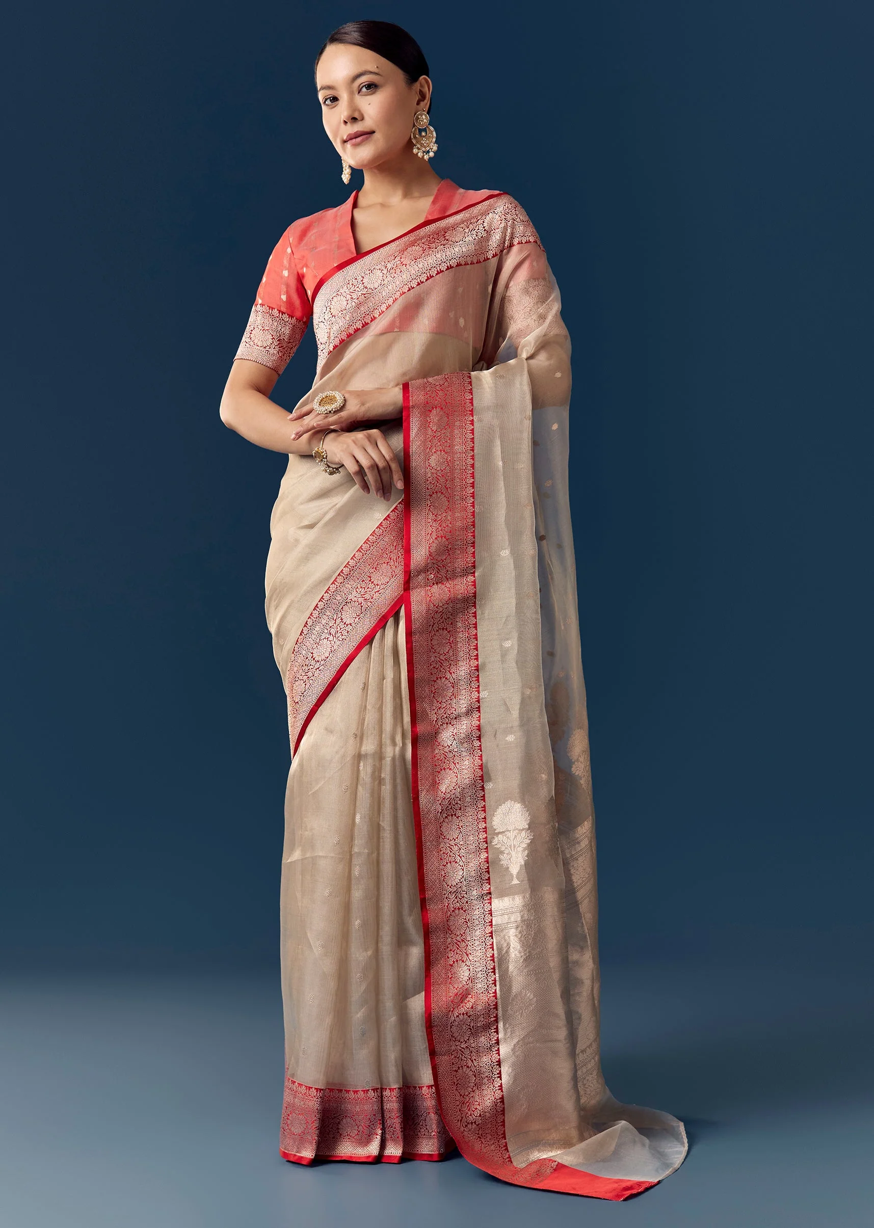 Dusky Beige Tissue Saree with Contrast Red Woven Border - Image 3