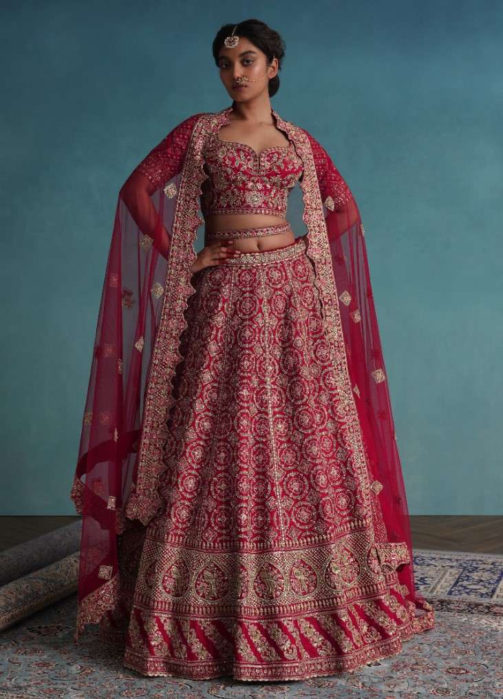Fiery Red Embroidered Bridal Lehenga In Raw Silk With Hand Embroidery - Image 6