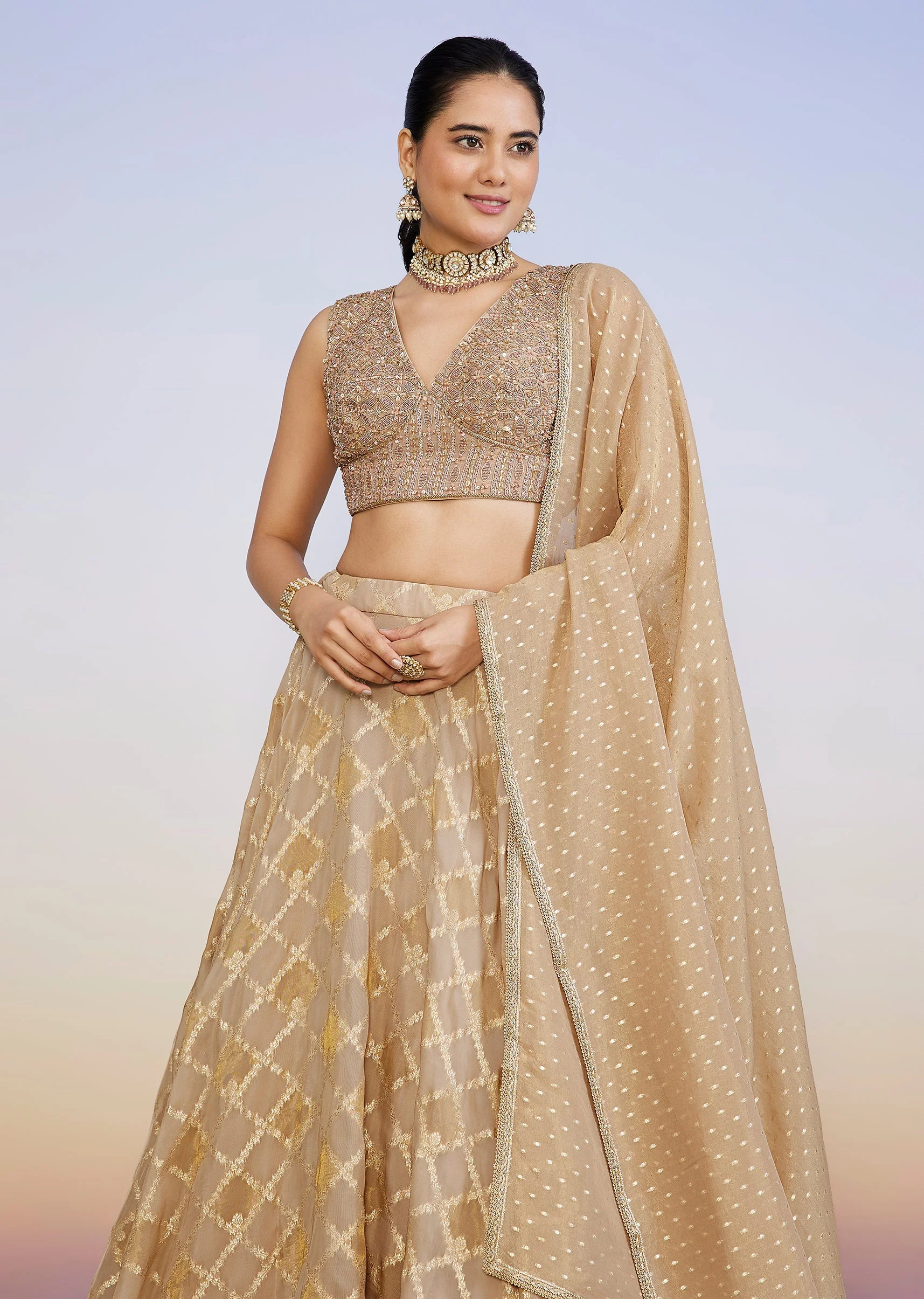 Gold And Blush Pink Organza Banarasi Lehenga - Image 5