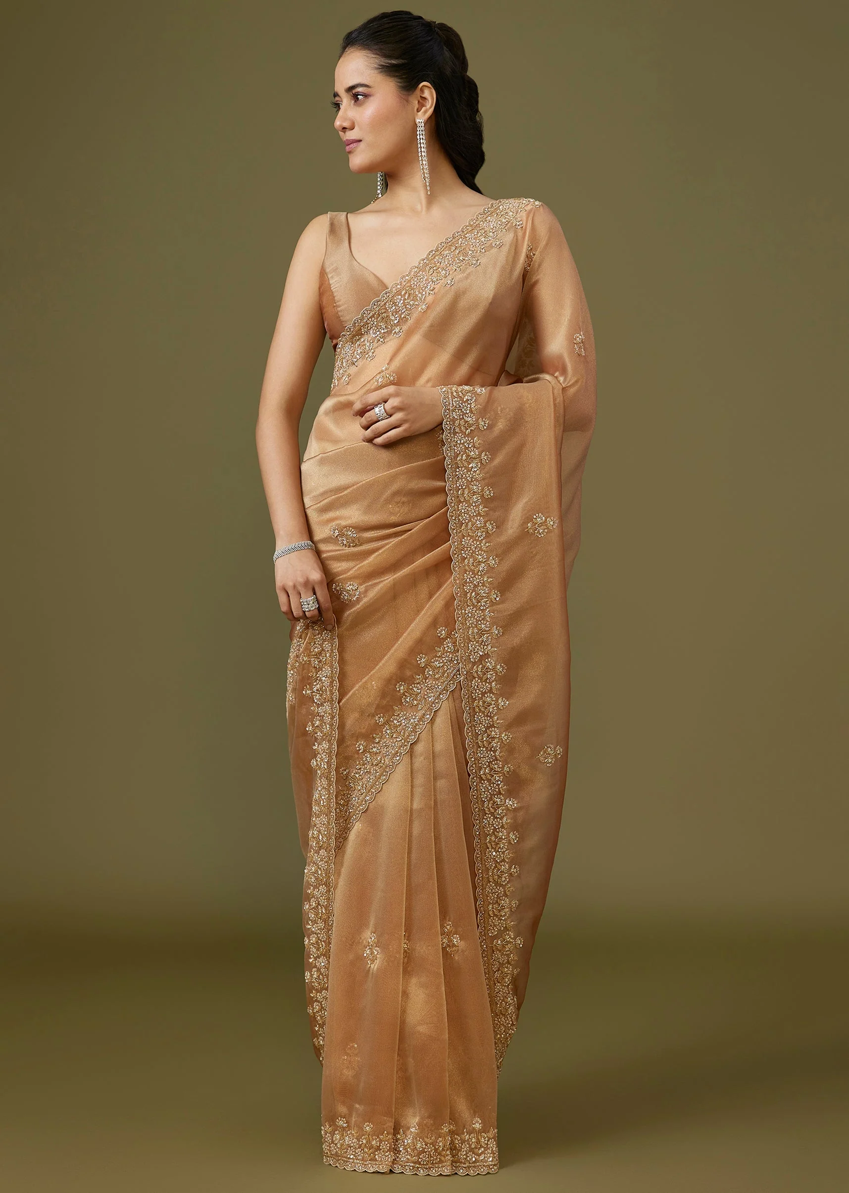 Gold Tissue Saree - Image 3