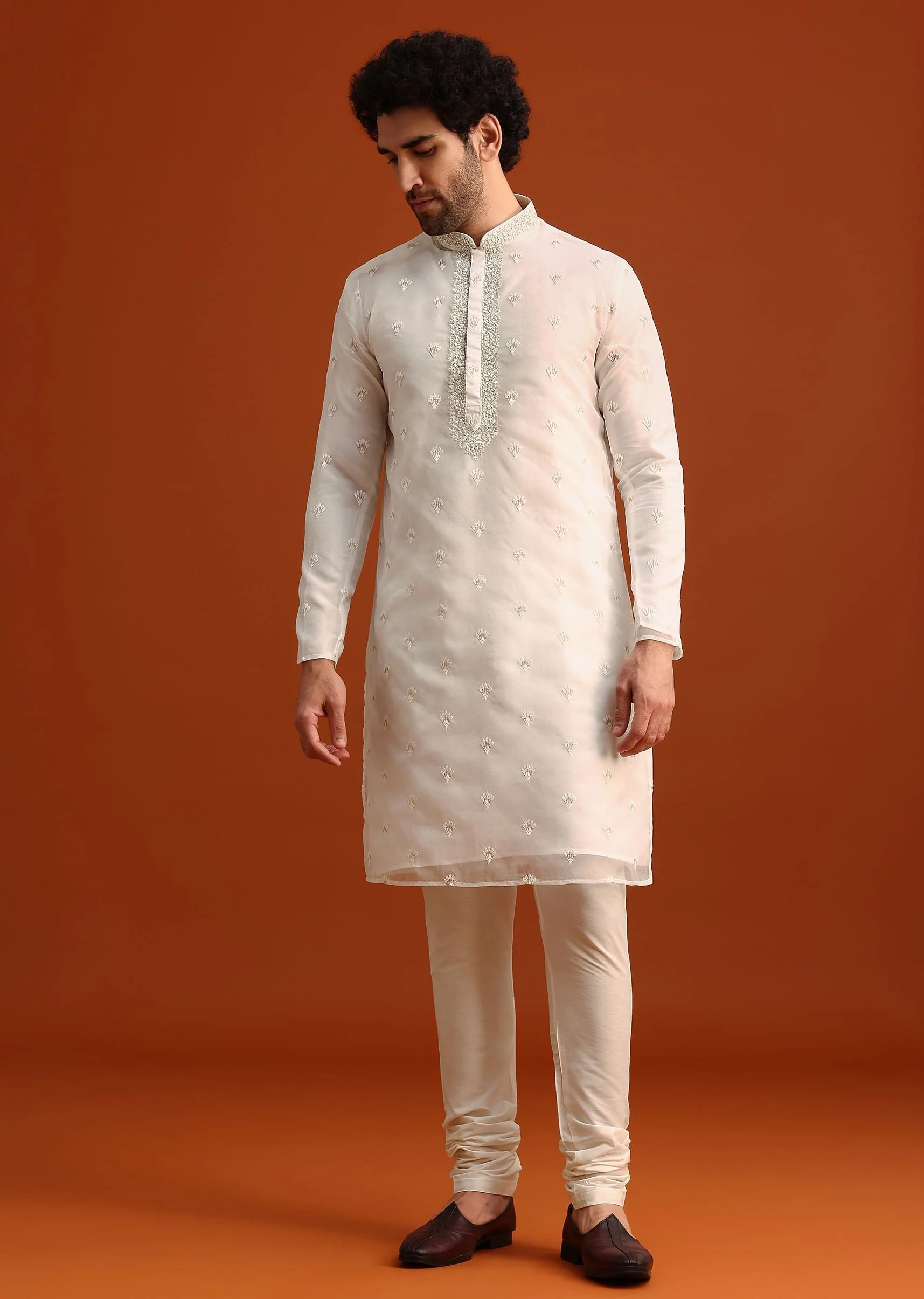 Ivory Organza Zari Embroidered Kurta Set With Butti Work - Image 4
