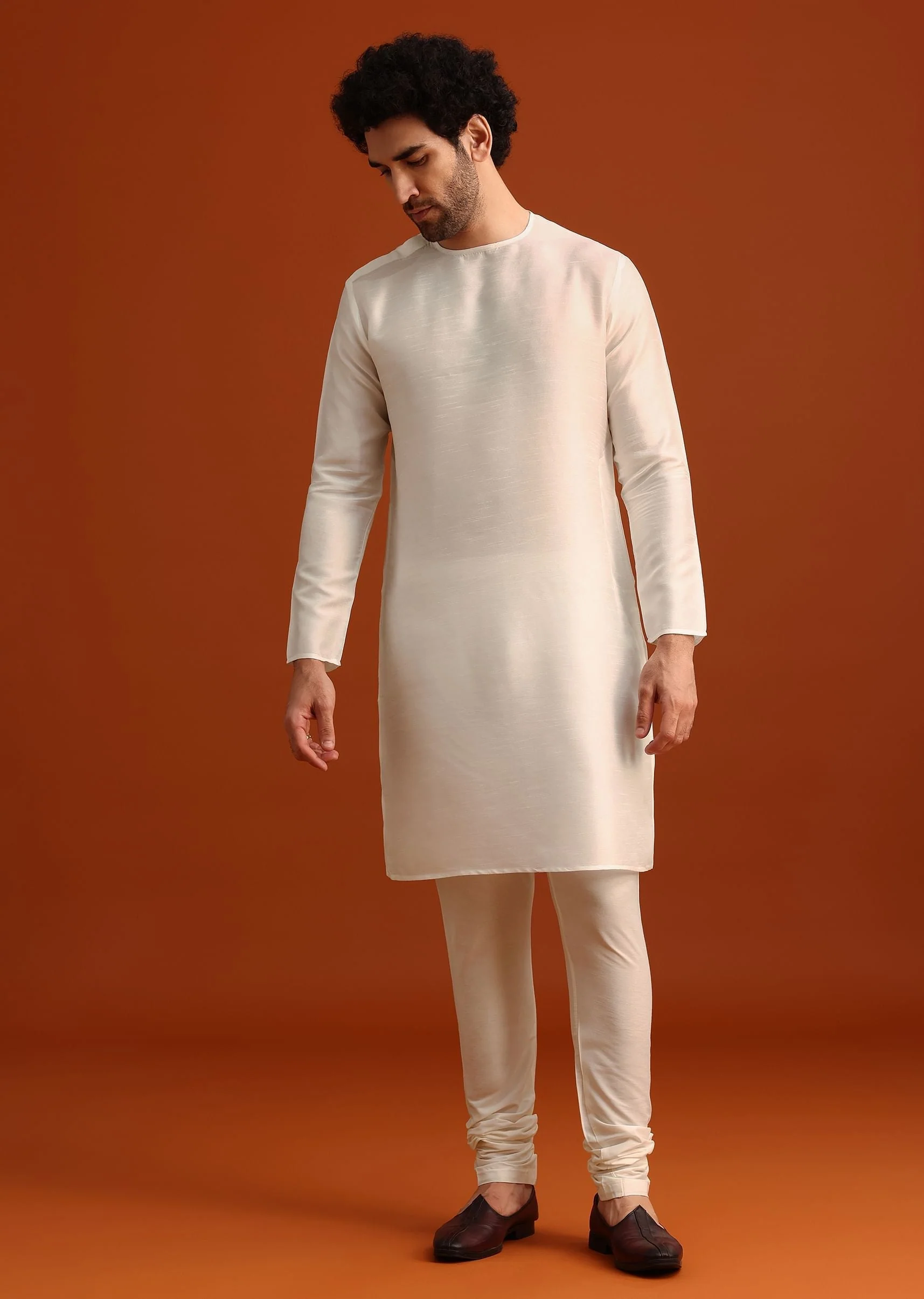 Ivory Organza Zari Embroidered Kurta Set With Butti Work - Image 6