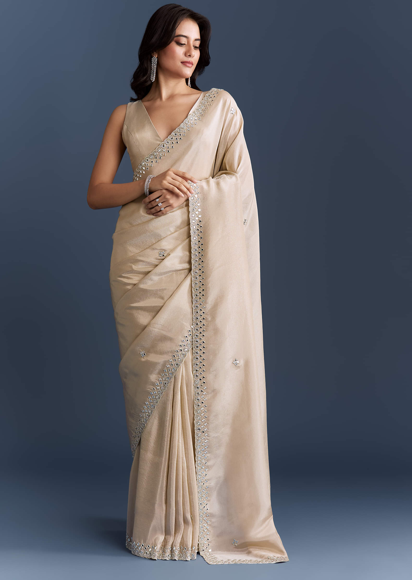 Ivory Tissue Saree With Heavy Hand Embroidery - Image 3