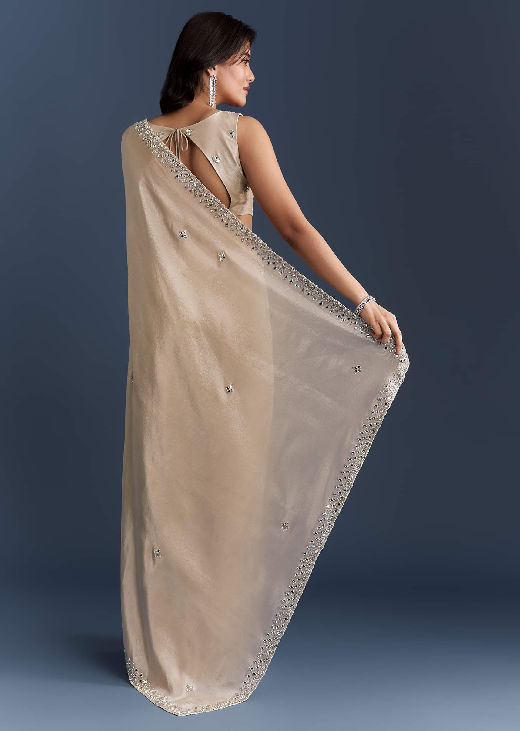 Ivory Tissue Saree With Heavy Hand Embroidery - Image 4
