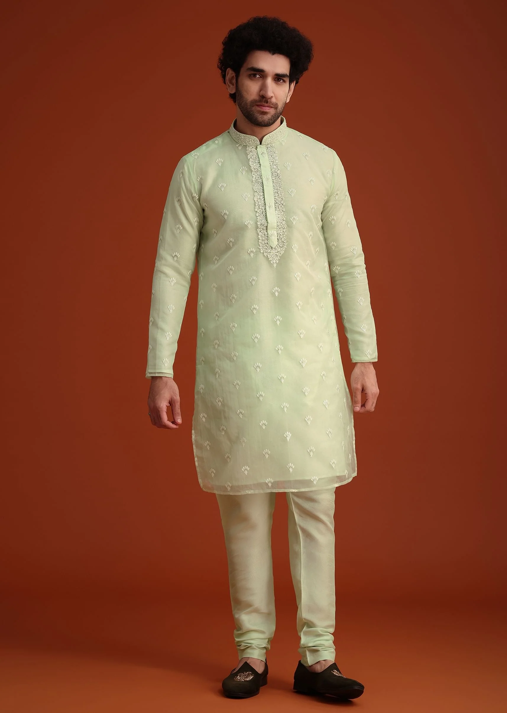 Light Green Organza Aligarhi Kurta With Zari Embroidery - Image 2