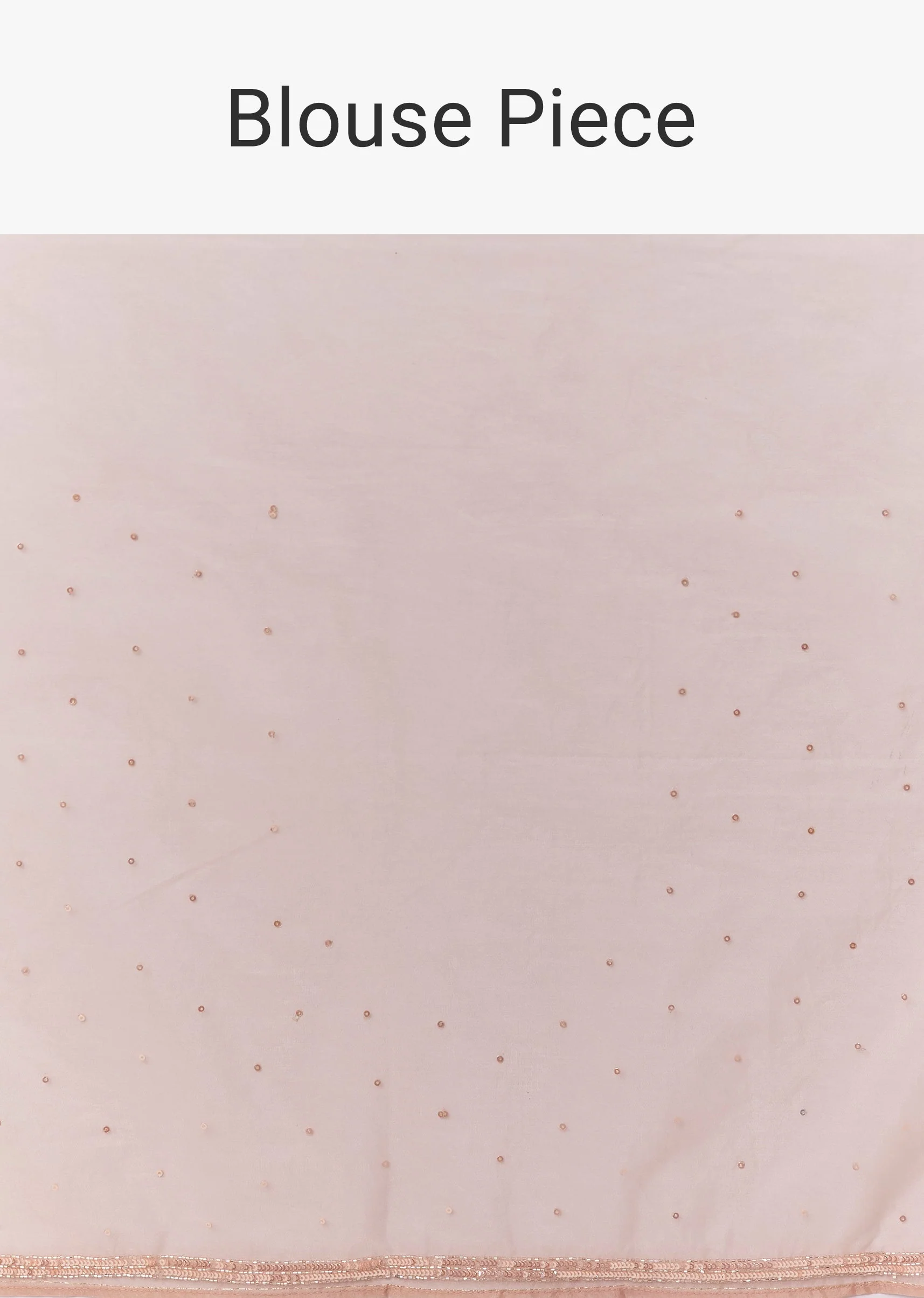 Light Peach Tissue Saree With Floral Embroidery And Sequin Detailing - Image 10
