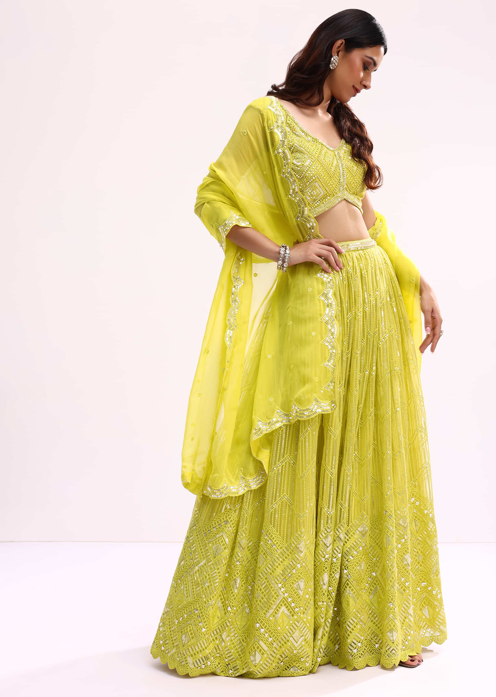 Lime Green Embroidered Net Lehenga Choli Set - Image 3