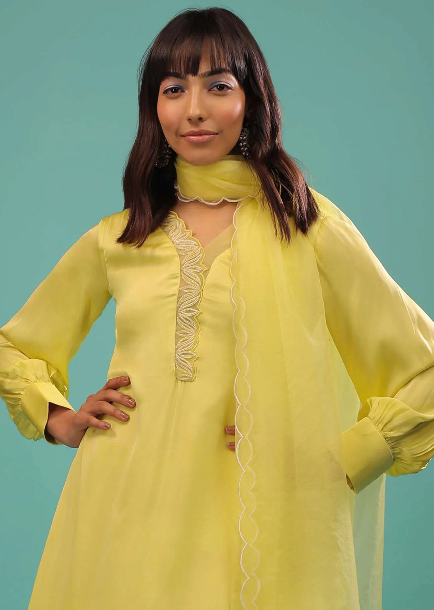 Lime Yellow Bemberg Silk A Line Suit In Organza - Image 2