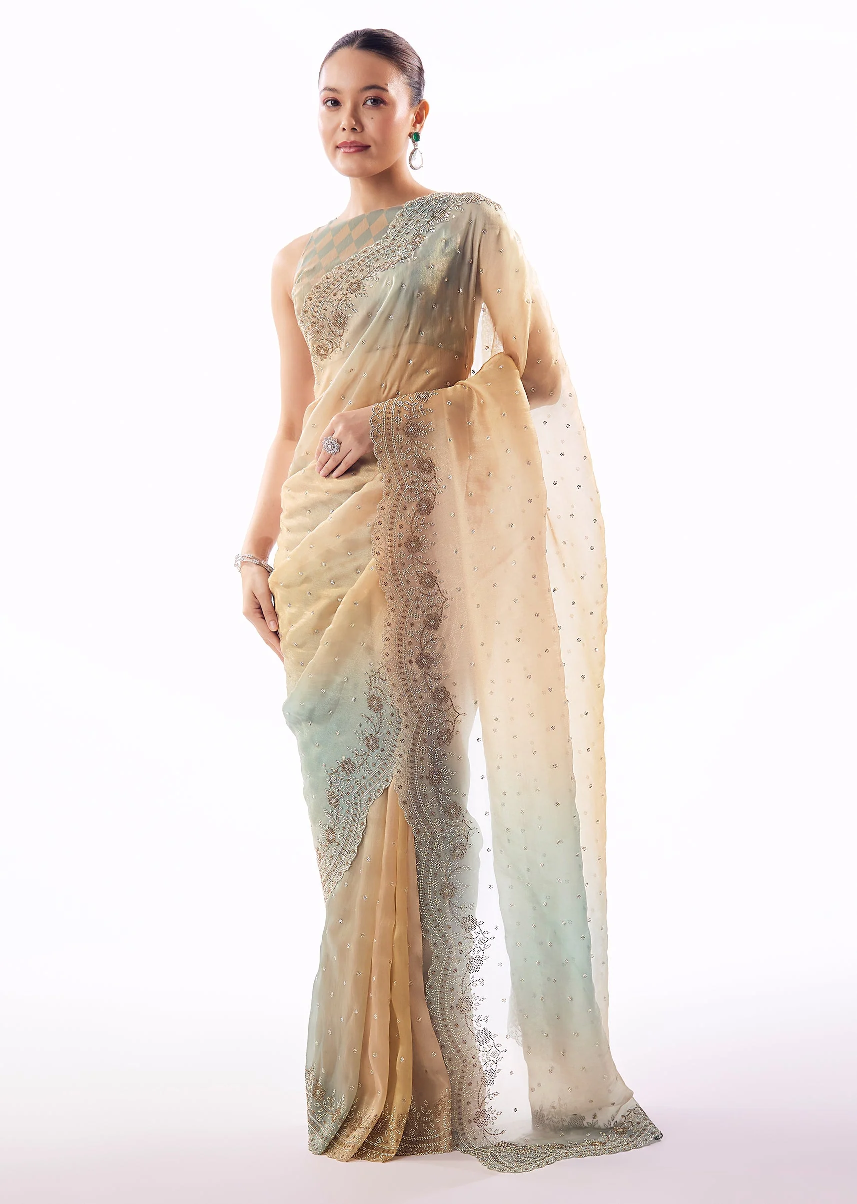 Multi Shade Tissue Saree With Scallop Border And Stone Embellished Floral Detailing - Image 3