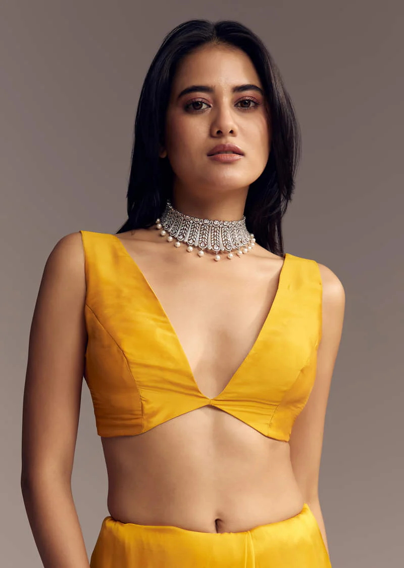 Mustard Yellow Organza Saree With Scallop Border And Stone Work - Image 6