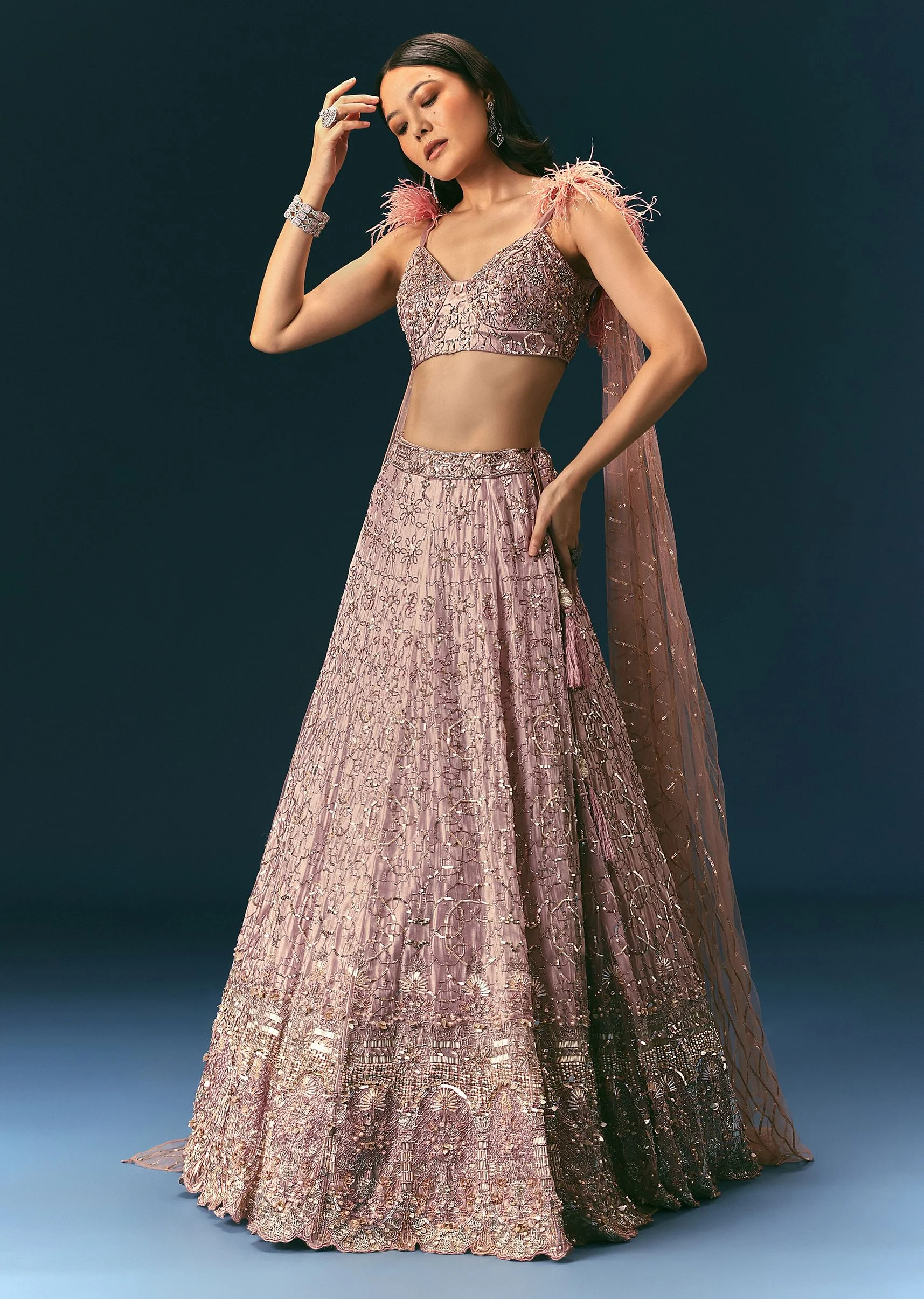 Onion Organza Lehenga And Blouse Set With Choker Dupatta
