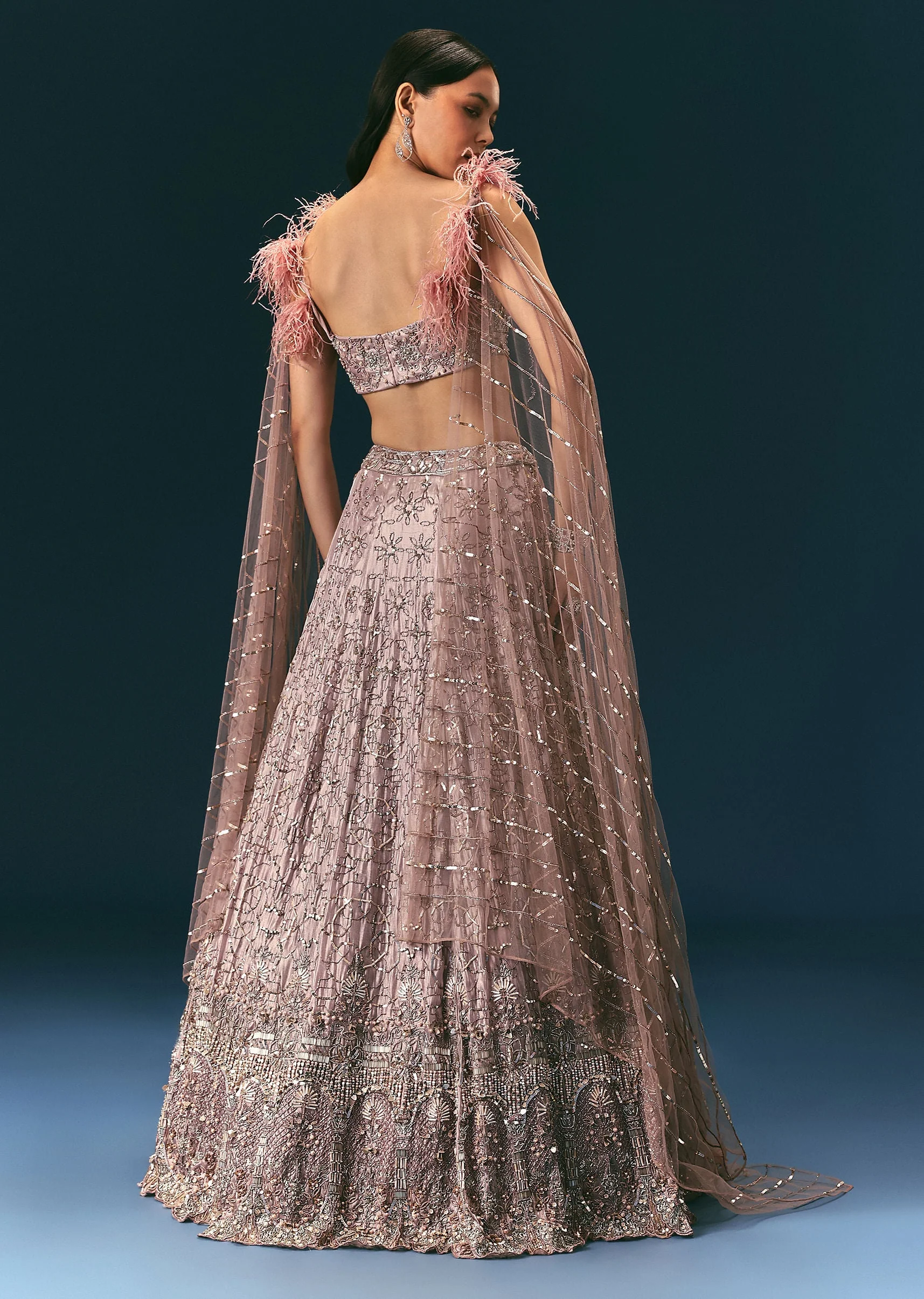 Onion Organza Lehenga And Blouse Set With Choker Dupatta - Image 5