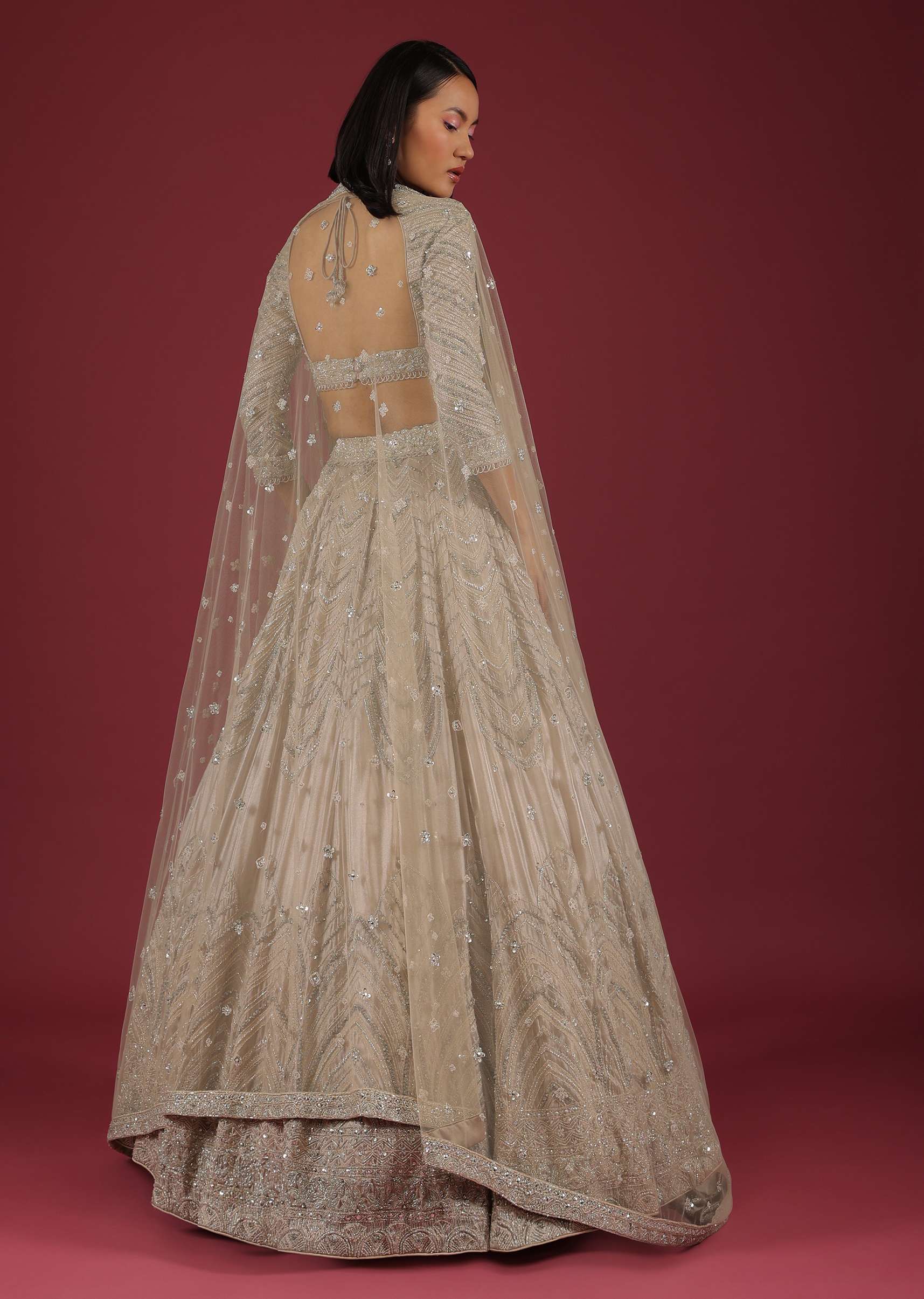 Oyster Organza Lehenga With Cut Dana Embroidery, Crop Top Comes In 3/4Th Sleeves With A Deep V Neckline - Image 4