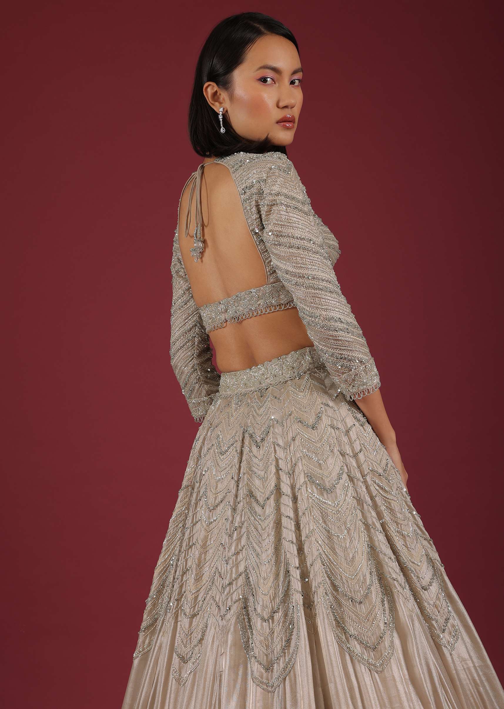 Oyster Organza Lehenga With Cut Dana Embroidery, Crop Top Comes In 3/4Th Sleeves With A Deep V Neckline - Image 7