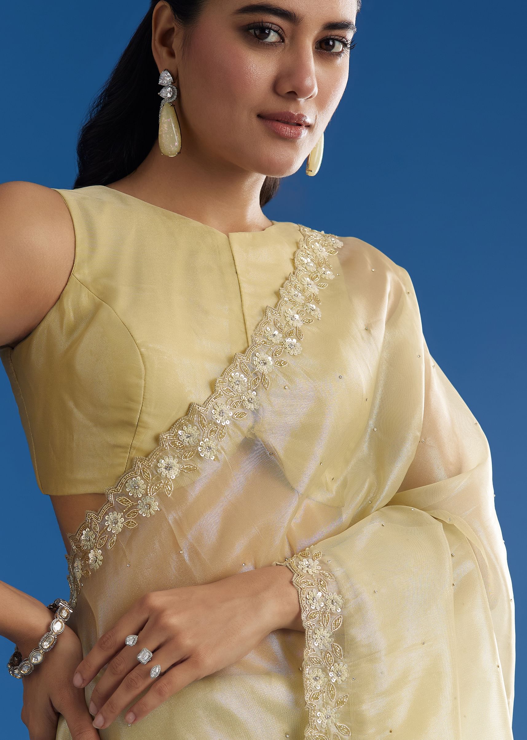 Pastel Green Glass Tissue Saree With Floral Embroidery And Cutwork Border - Image 2