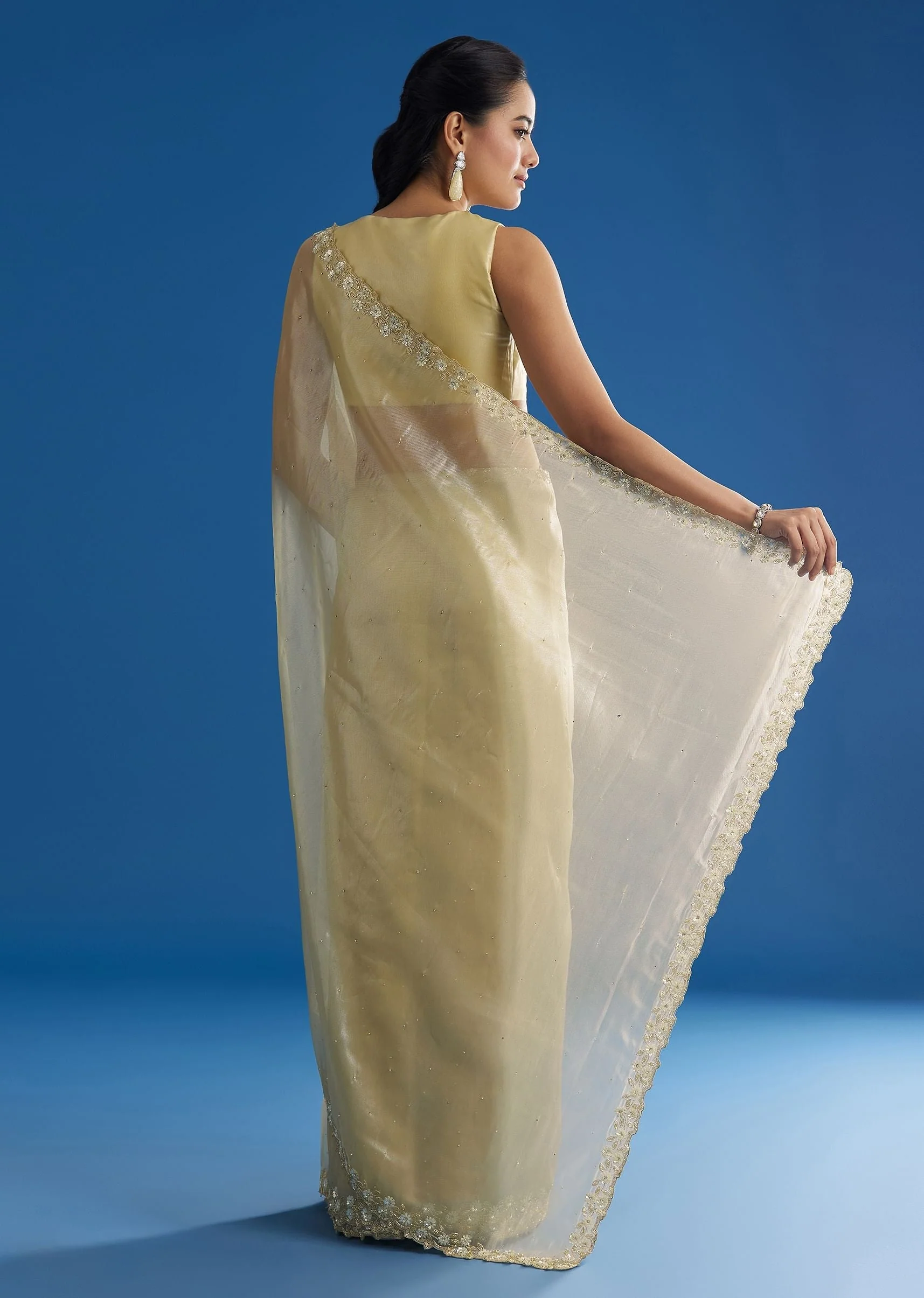 Pastel Green Glass Tissue Saree With Floral Embroidery And Cutwork Border - Image 4