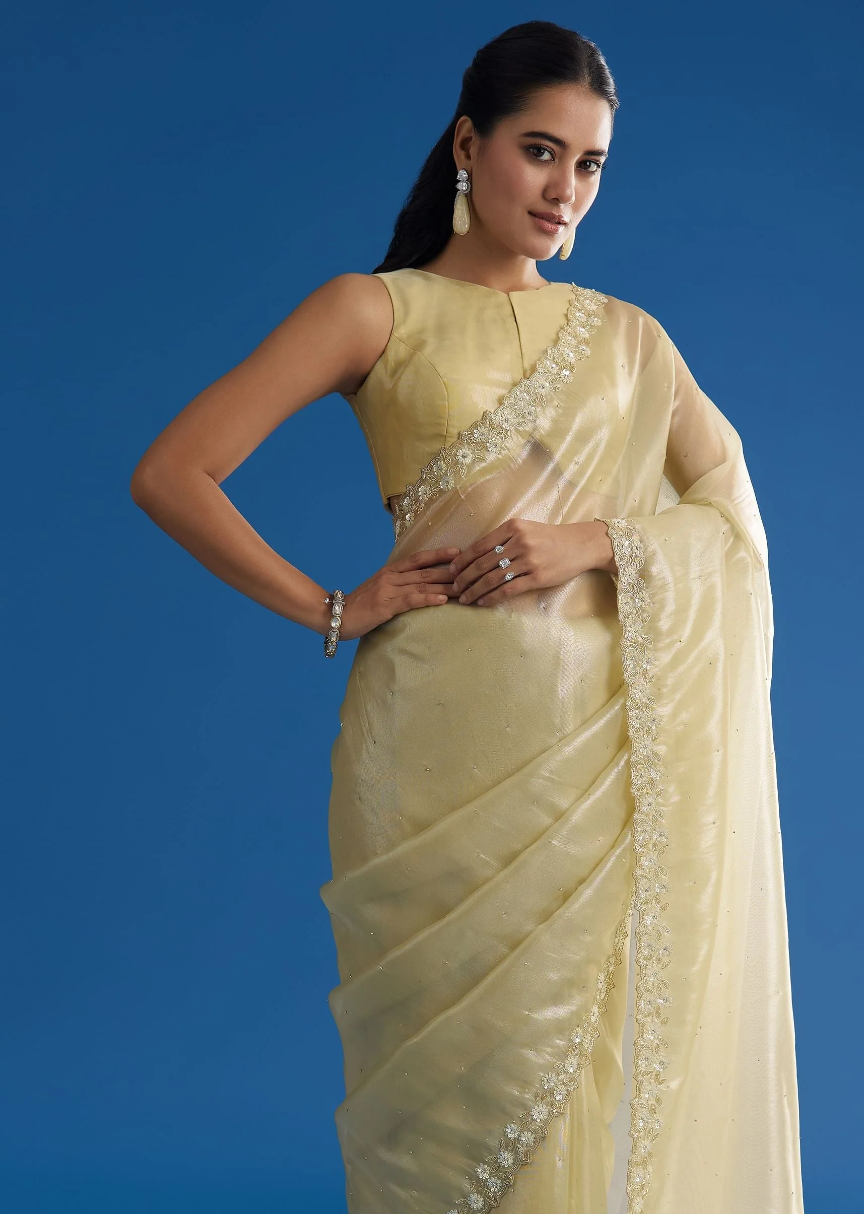 Pastel Green Glass Tissue Saree With Floral Embroidery And Cutwork Border - Image 5