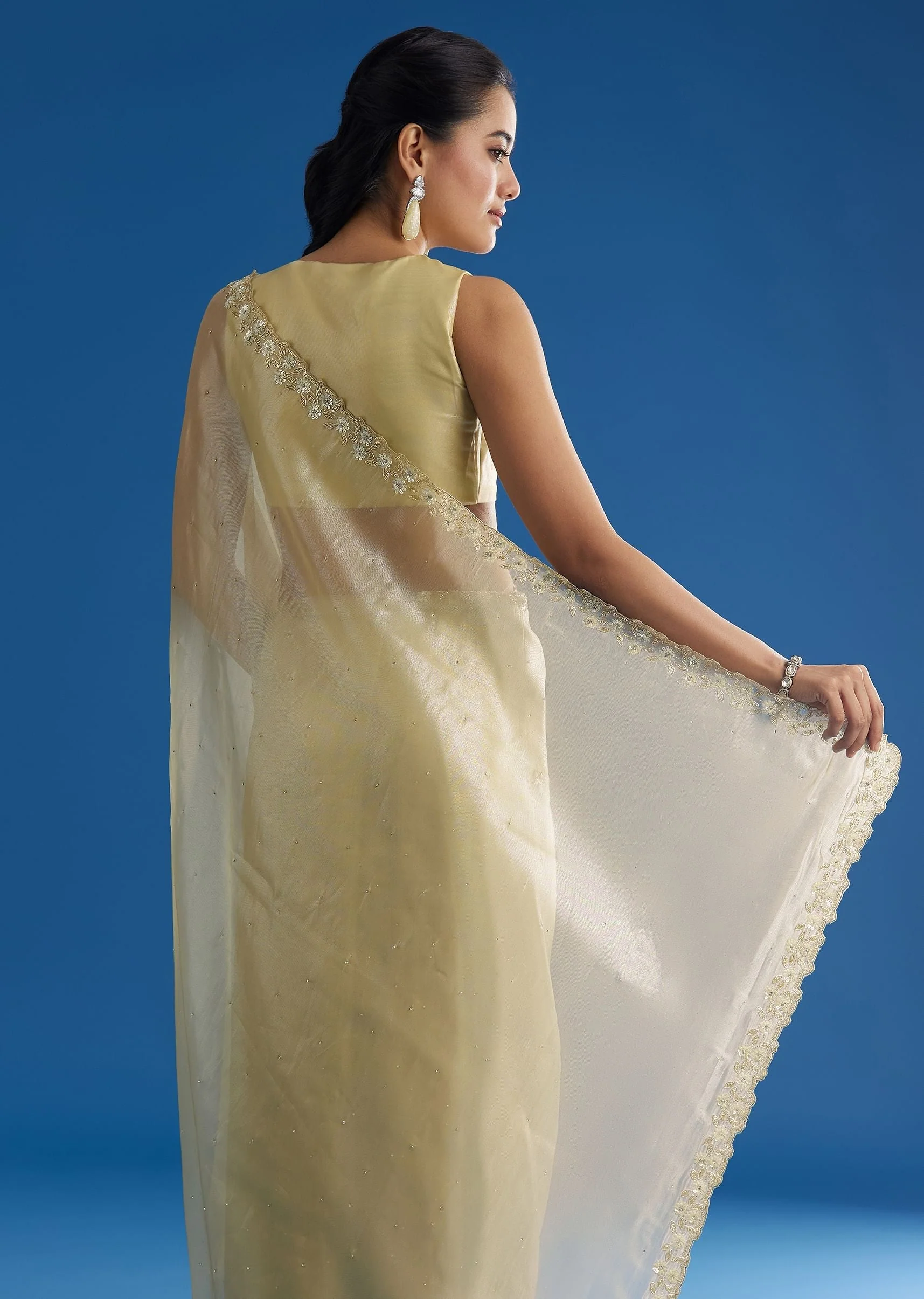 Pastel Green Glass Tissue Saree With Floral Embroidery And Cutwork Border - Image 6