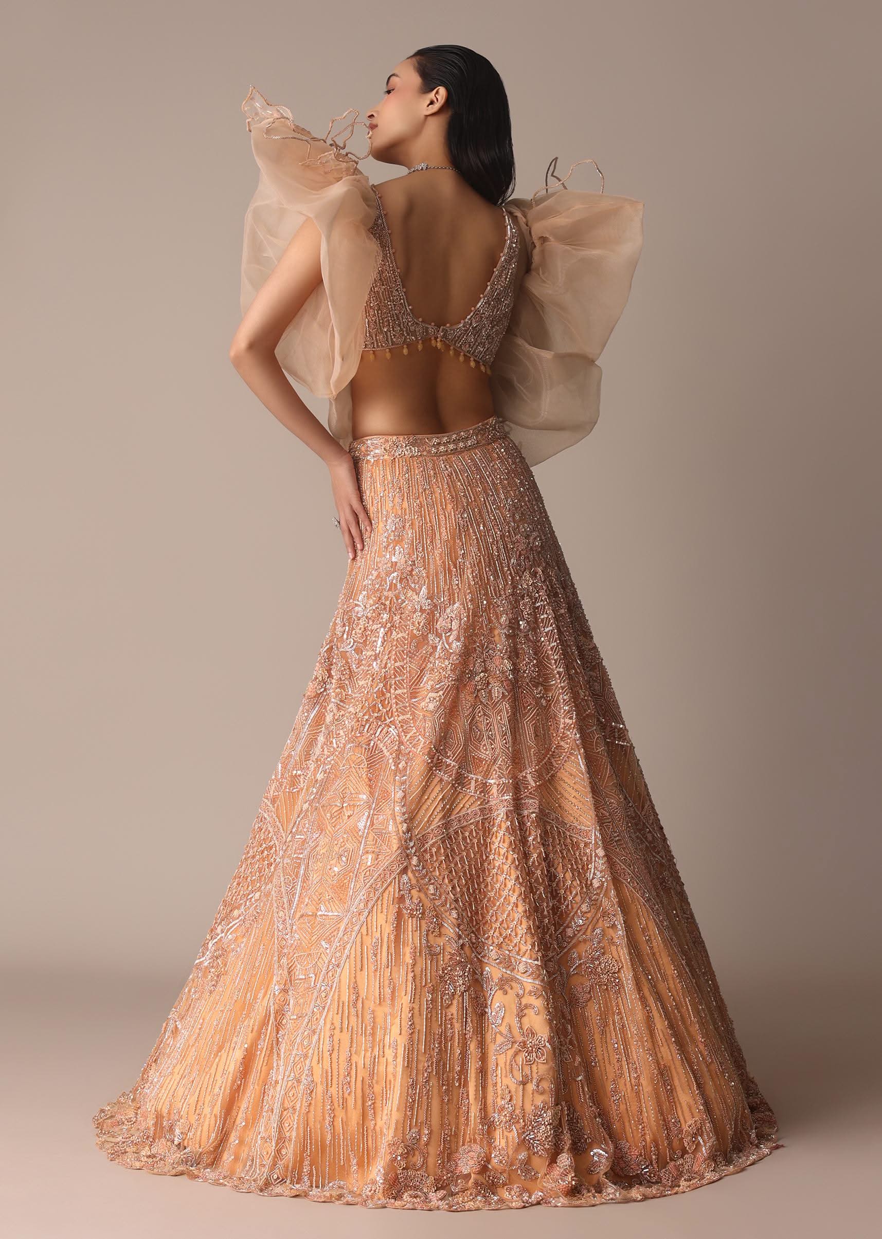Peach Zardosi Lehenga With Dramatic Net Sleeves Blouse - Image 9