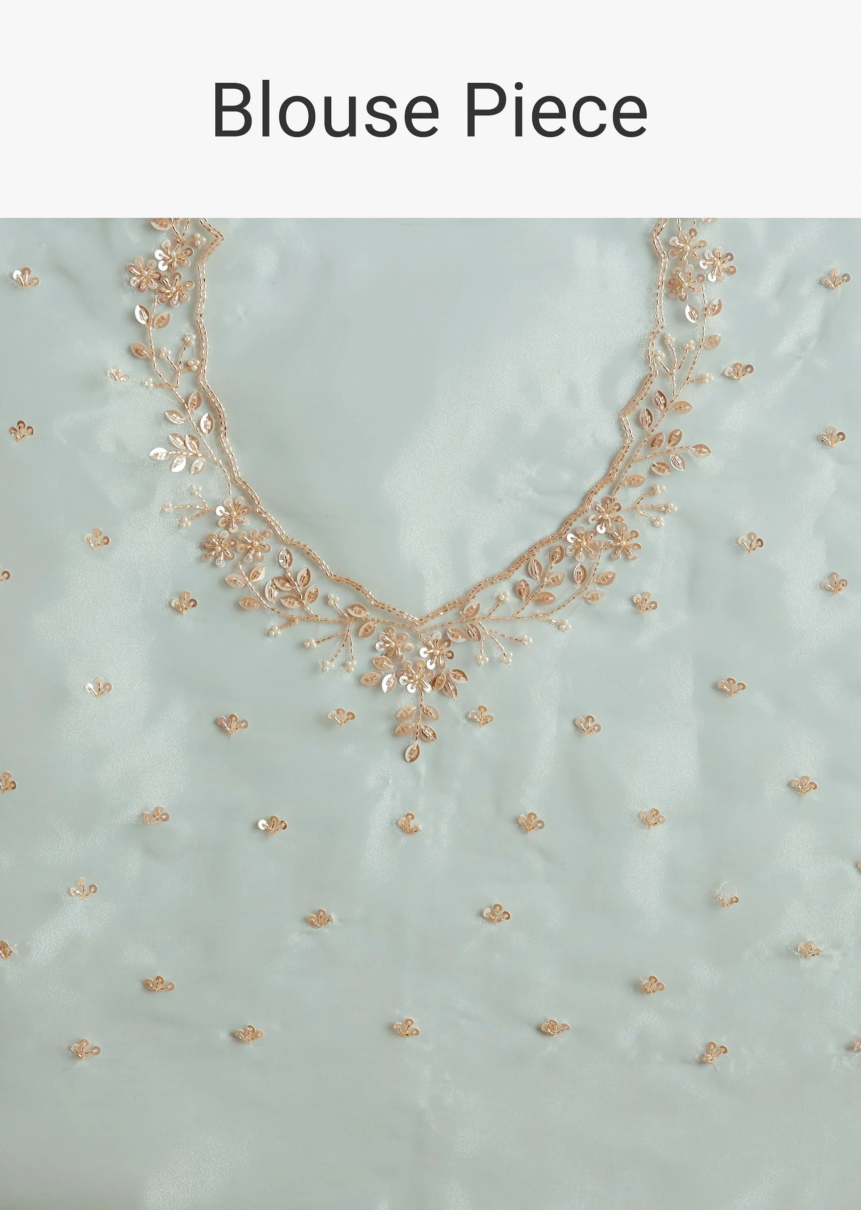 Powder Blue Tissue Embroidered Saree With Scallop Border - Image 10