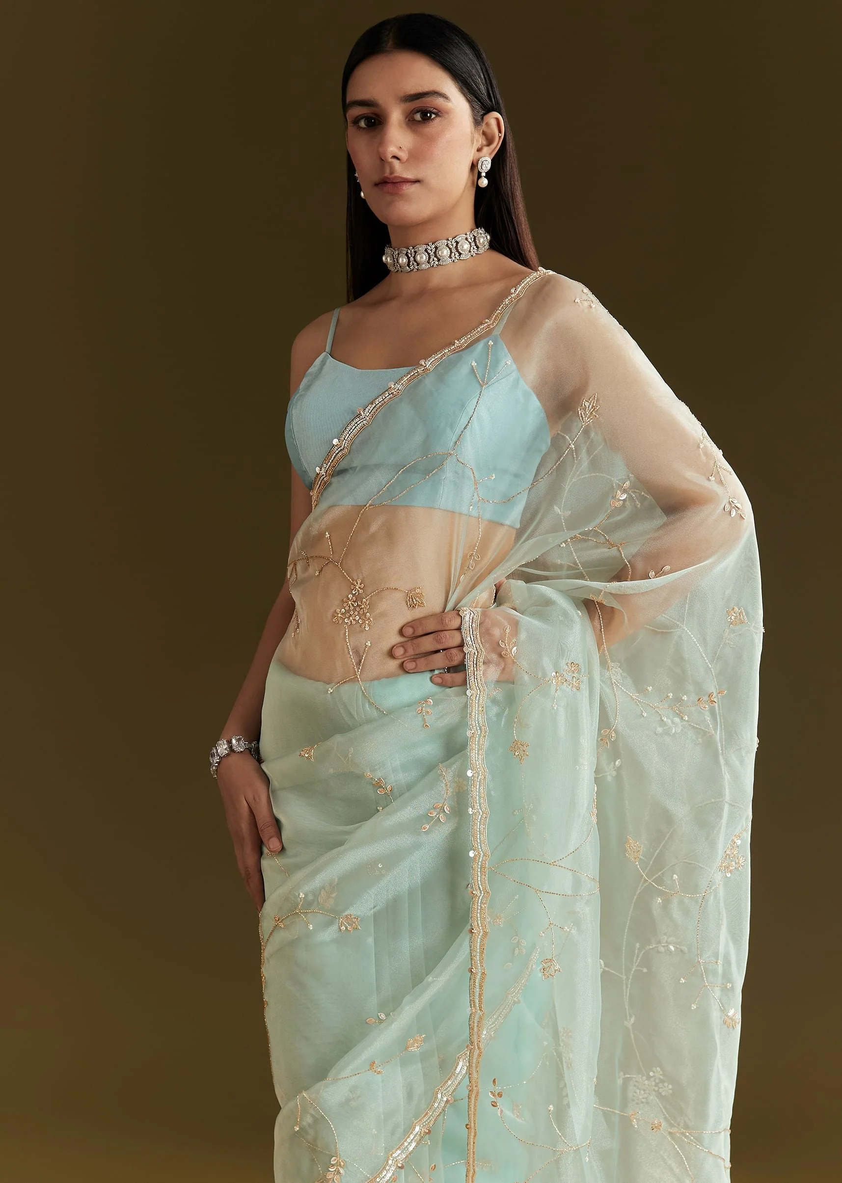 Powder Blue Tissue Embroidered Saree With Scallop Border - Image 5